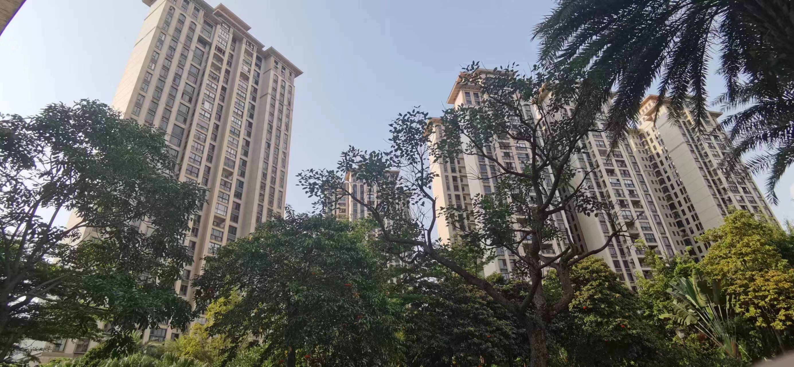 外景图