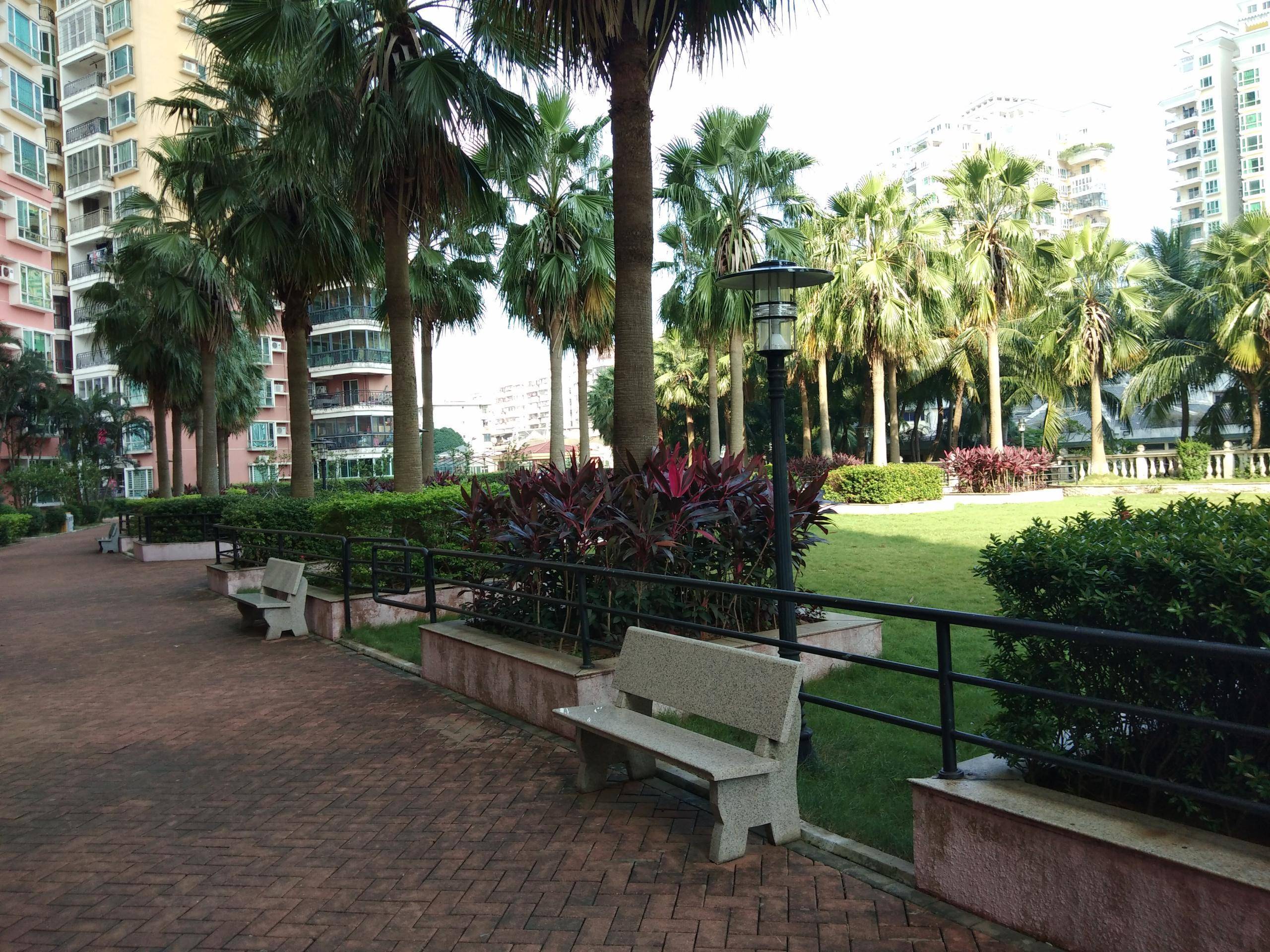 外景图