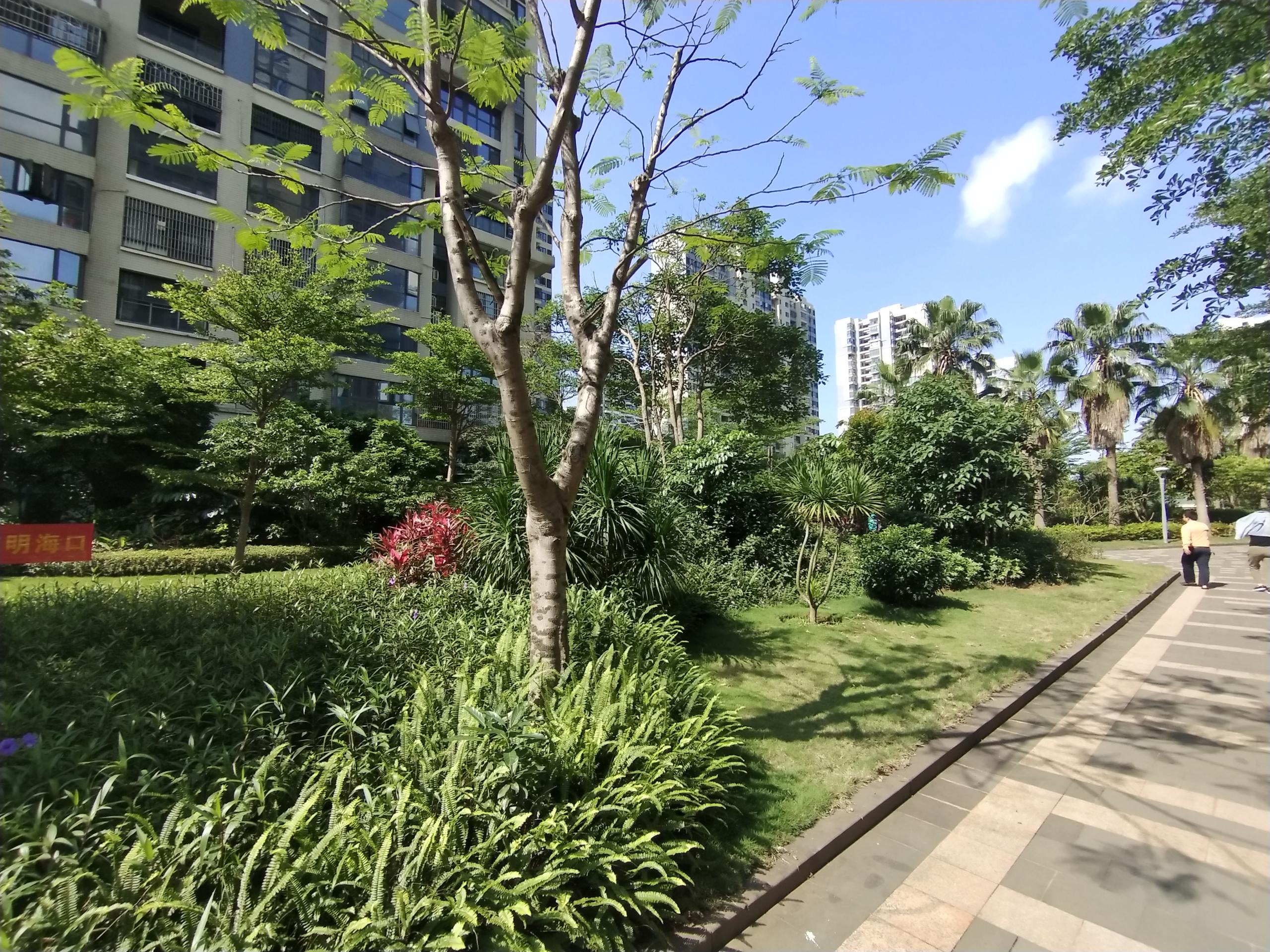 外景图