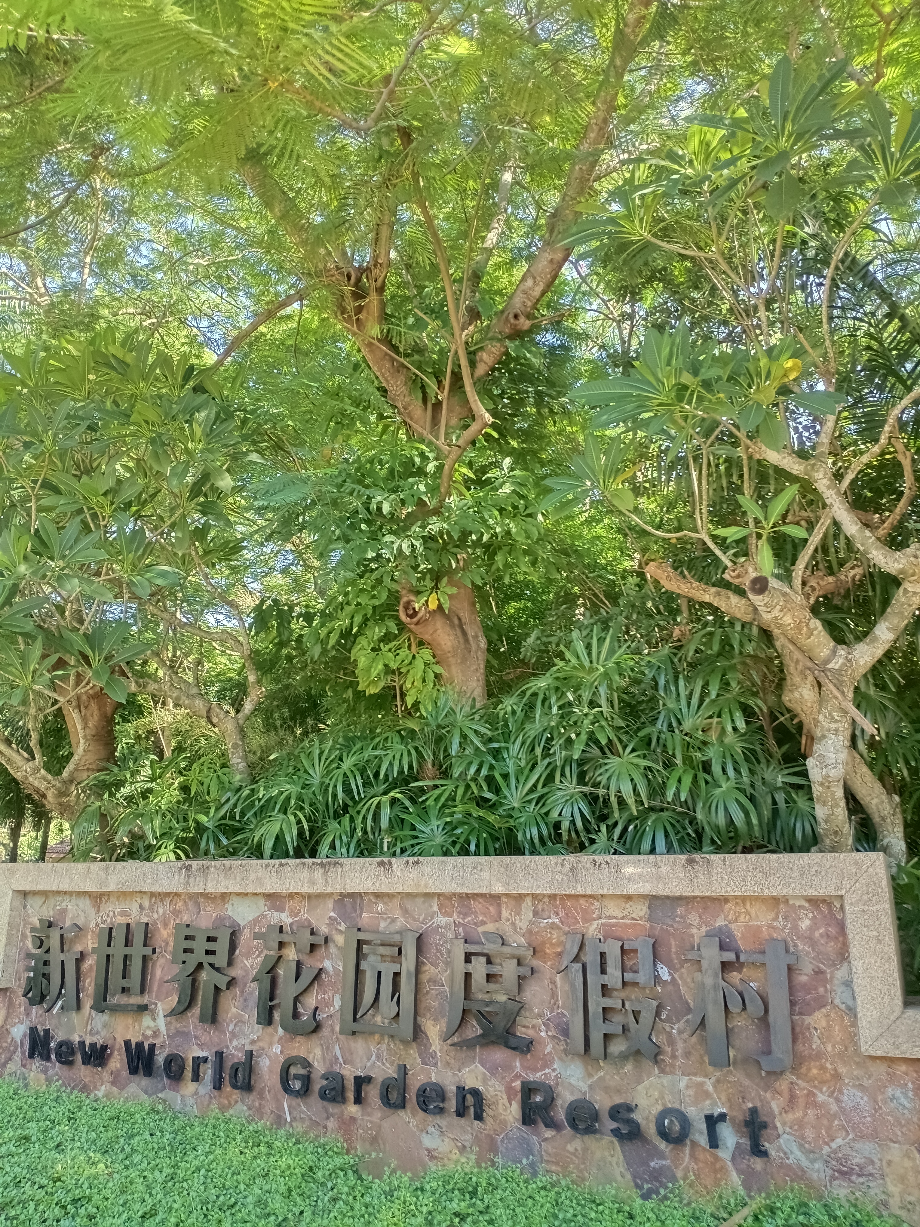 其它