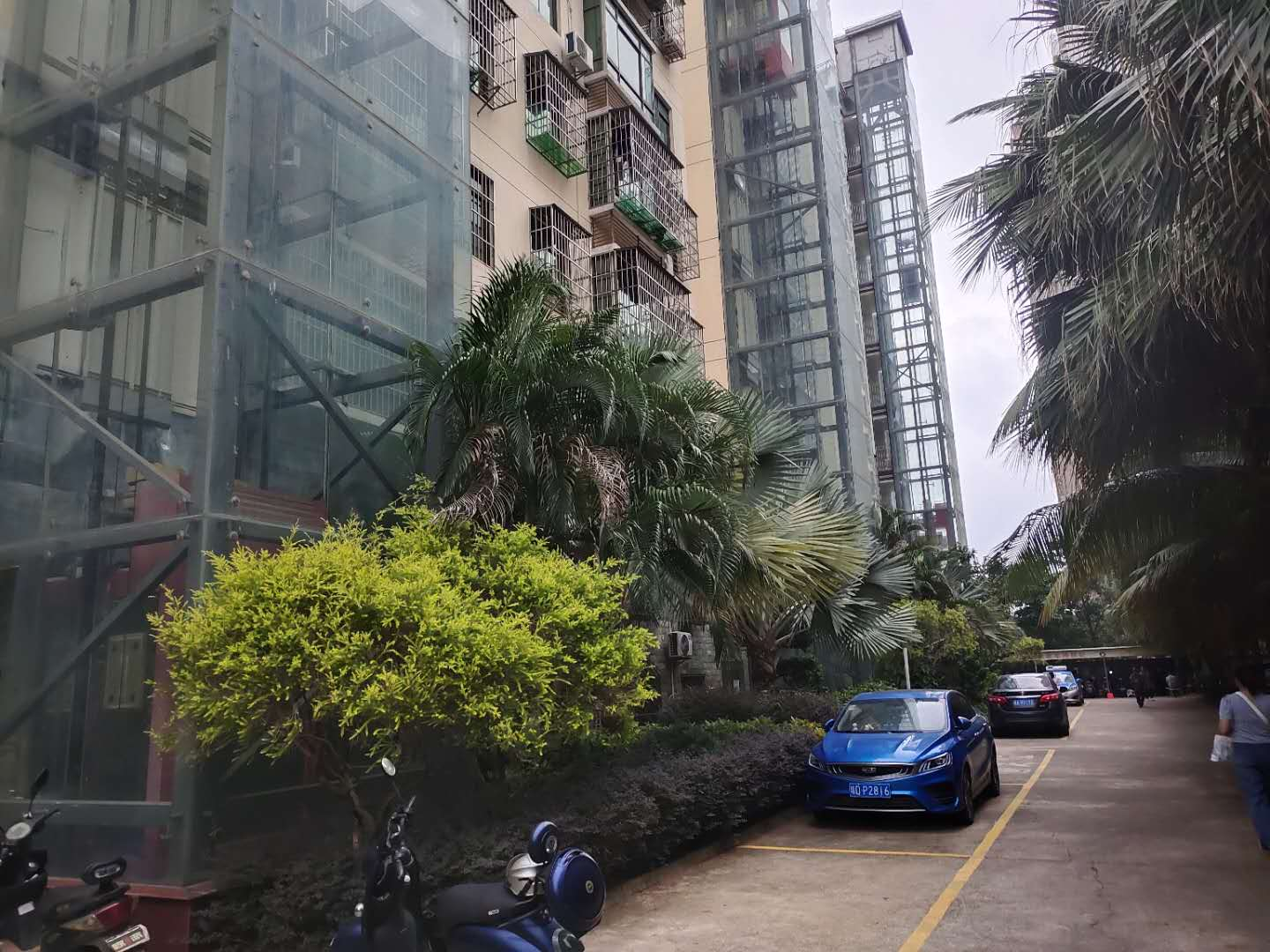 外景图