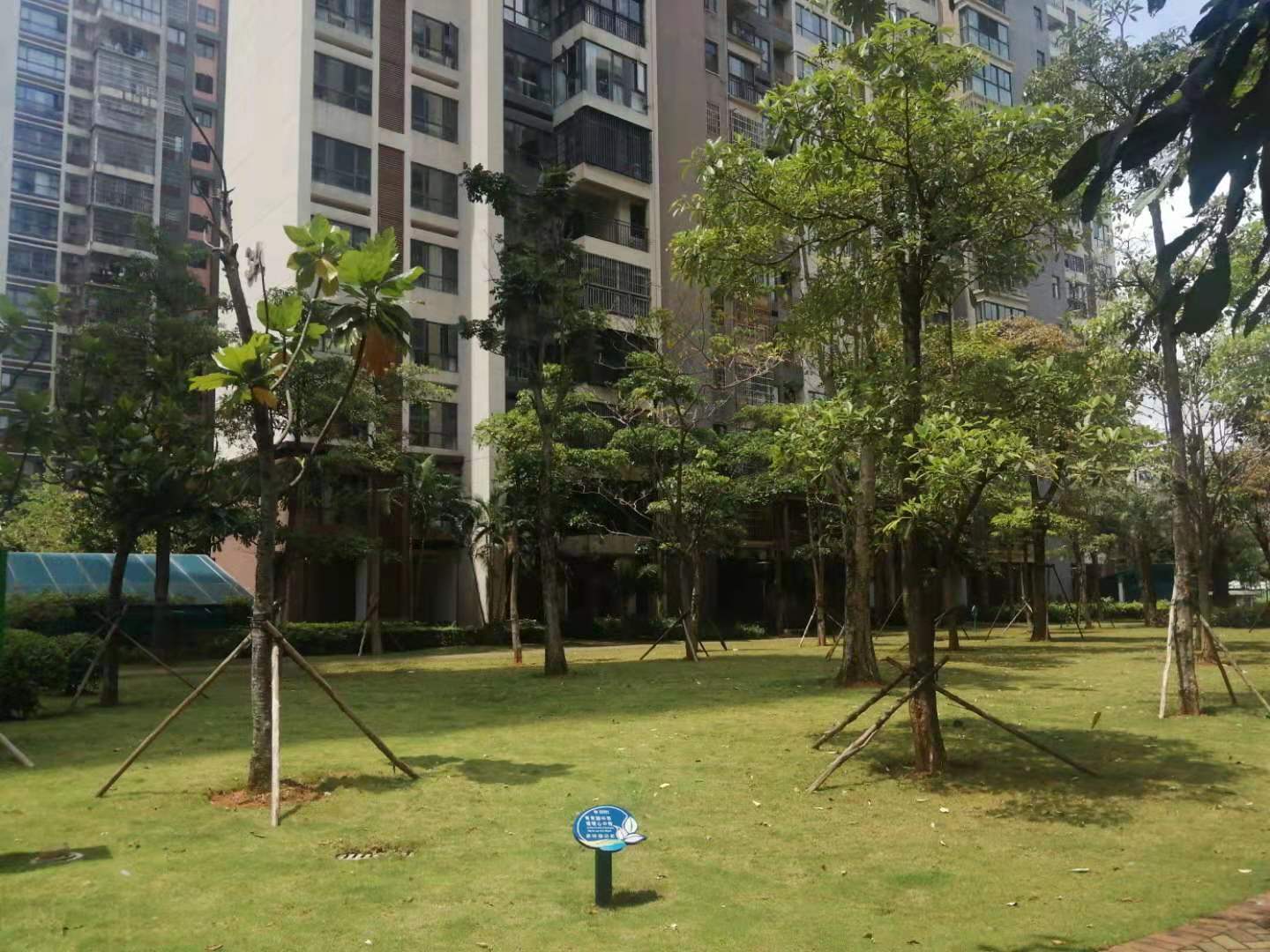 外景图