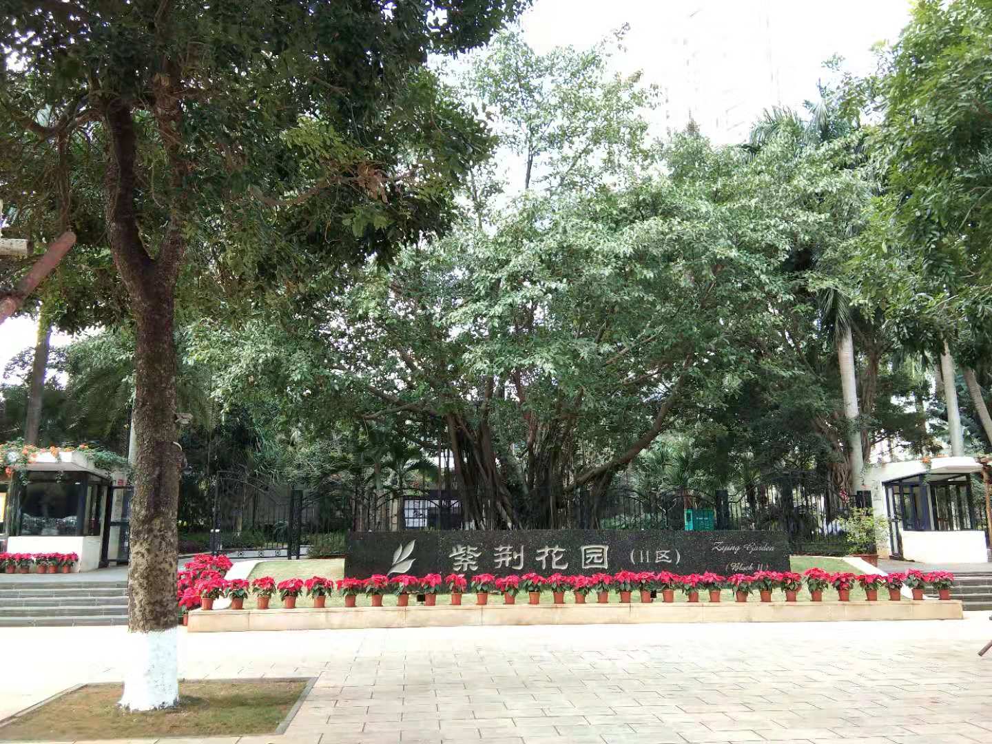 外景图