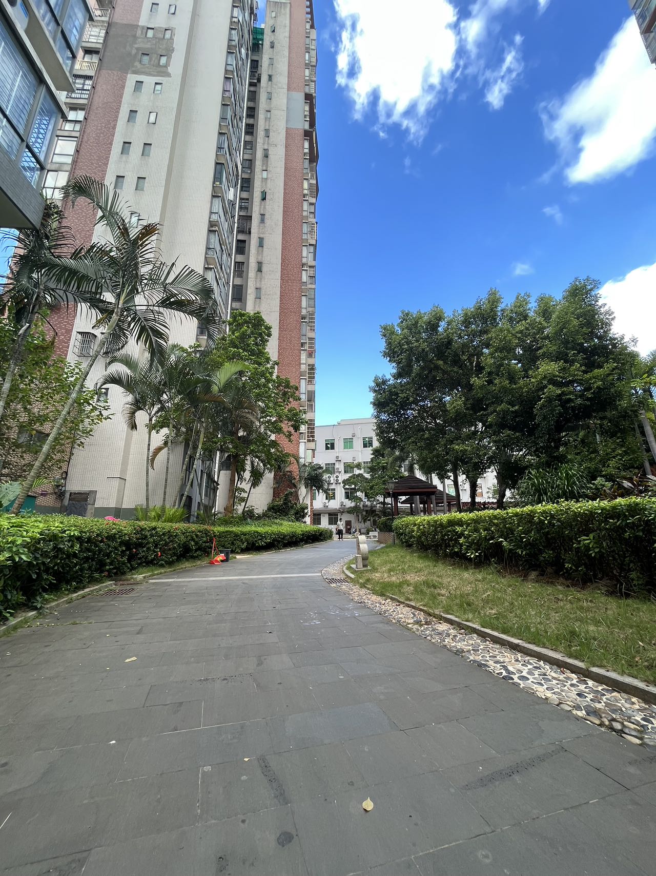 外景图