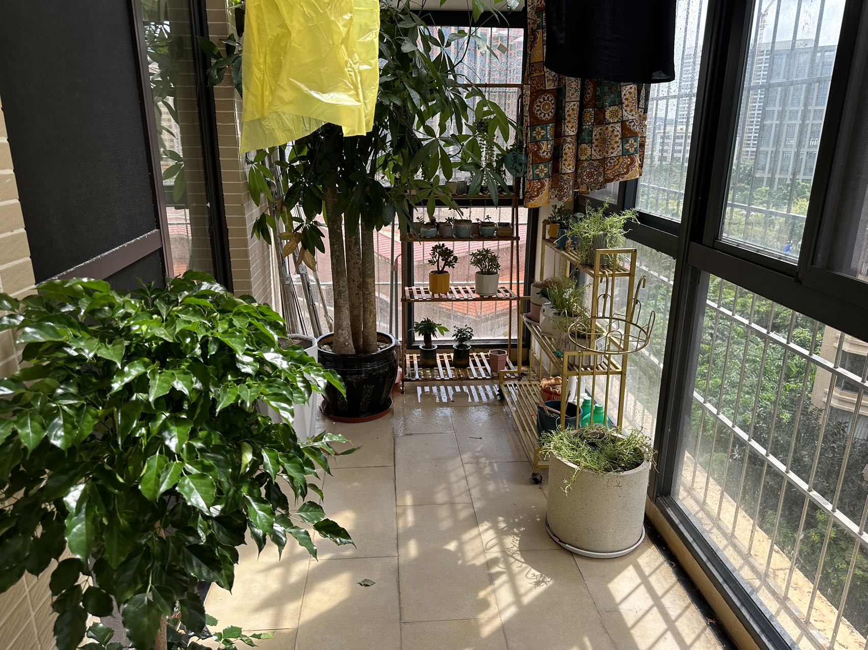 阳台