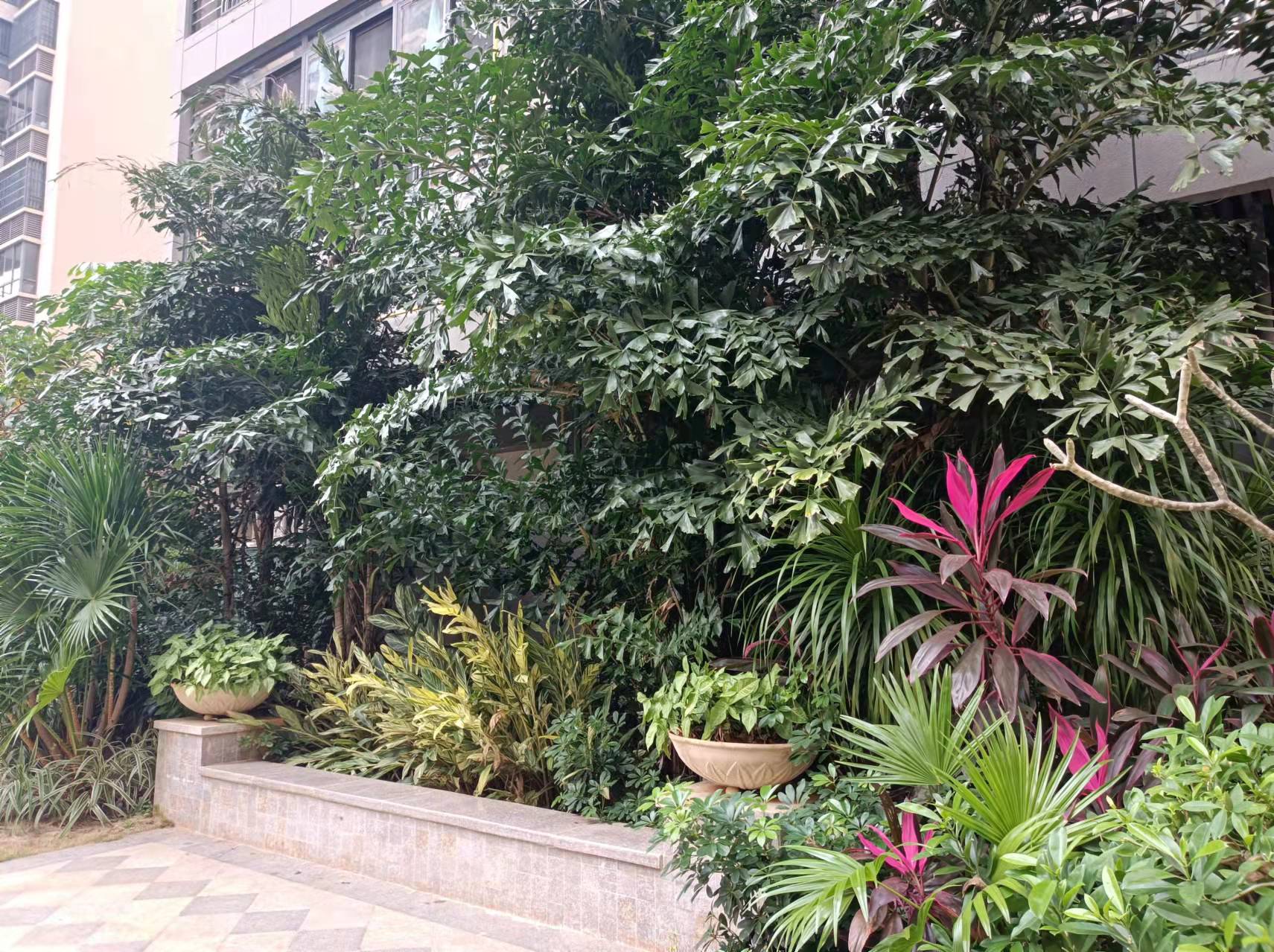 外景图