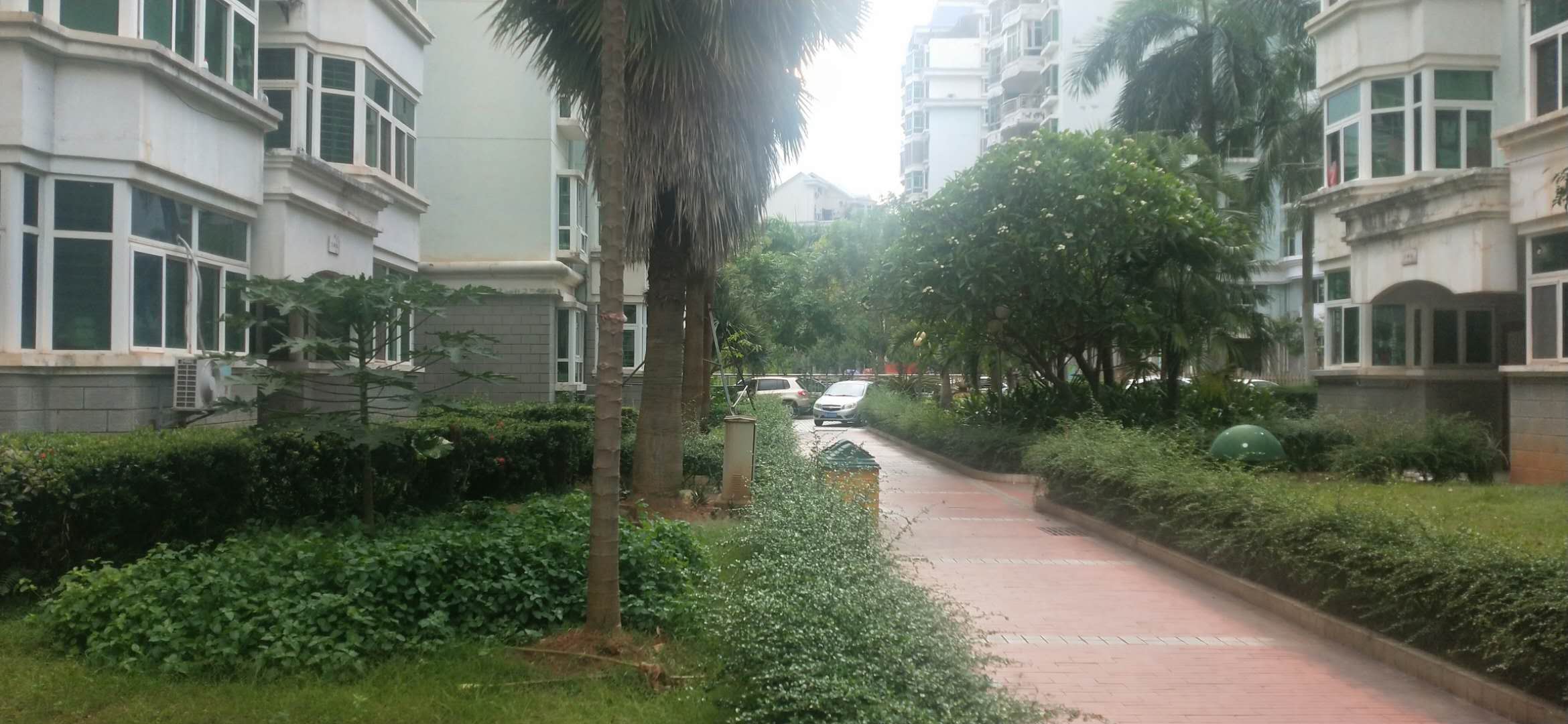 外景图