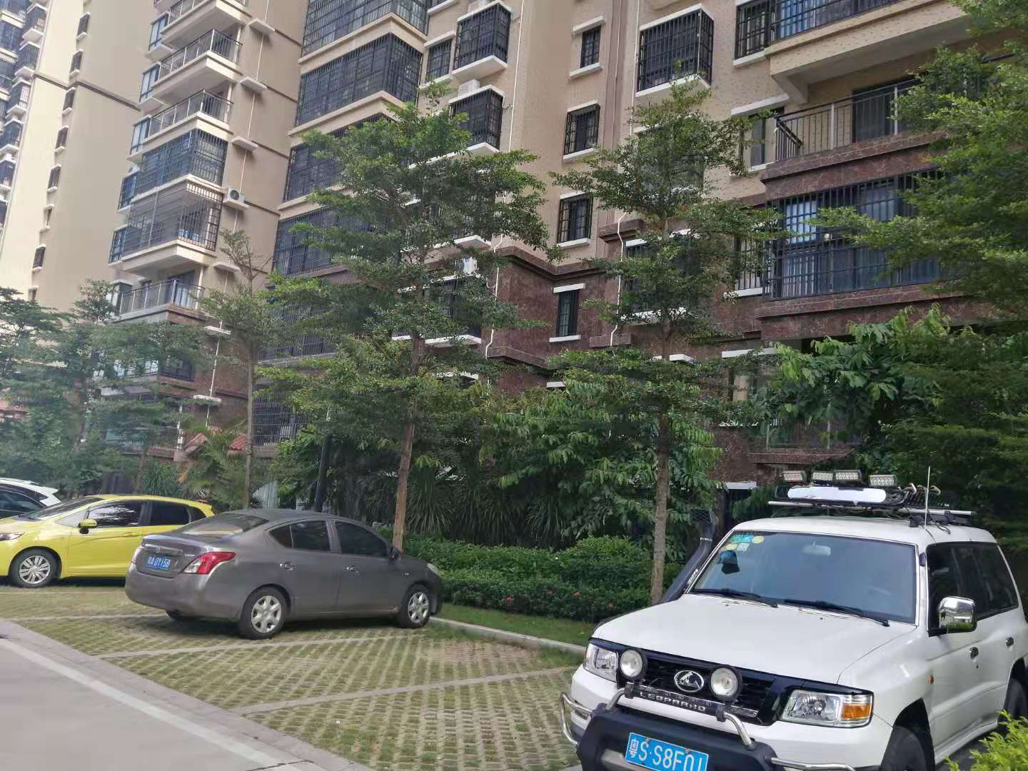 外景图