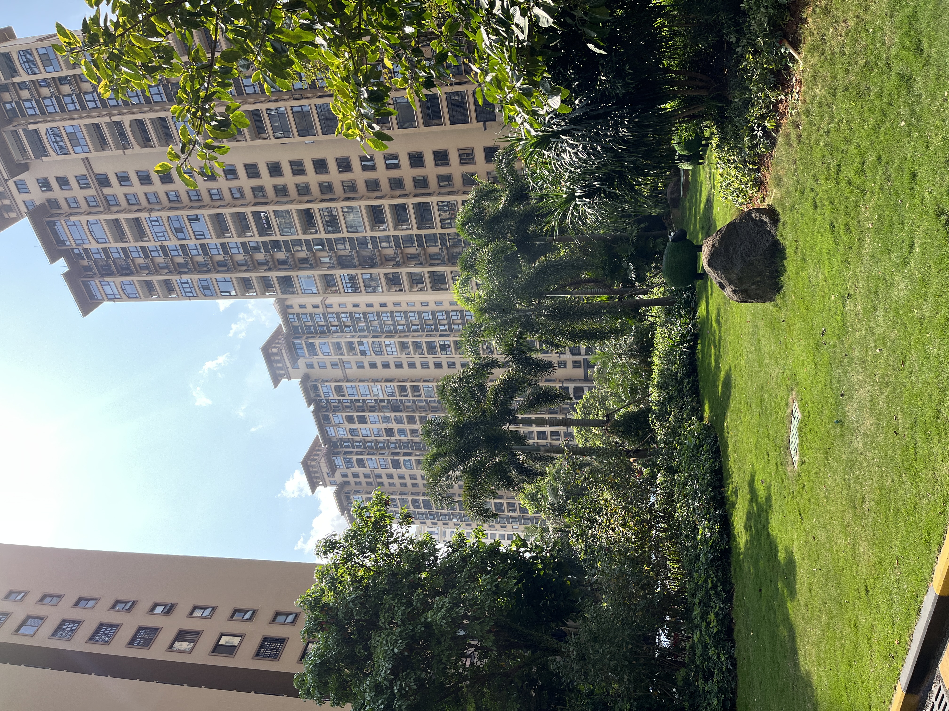 外景图