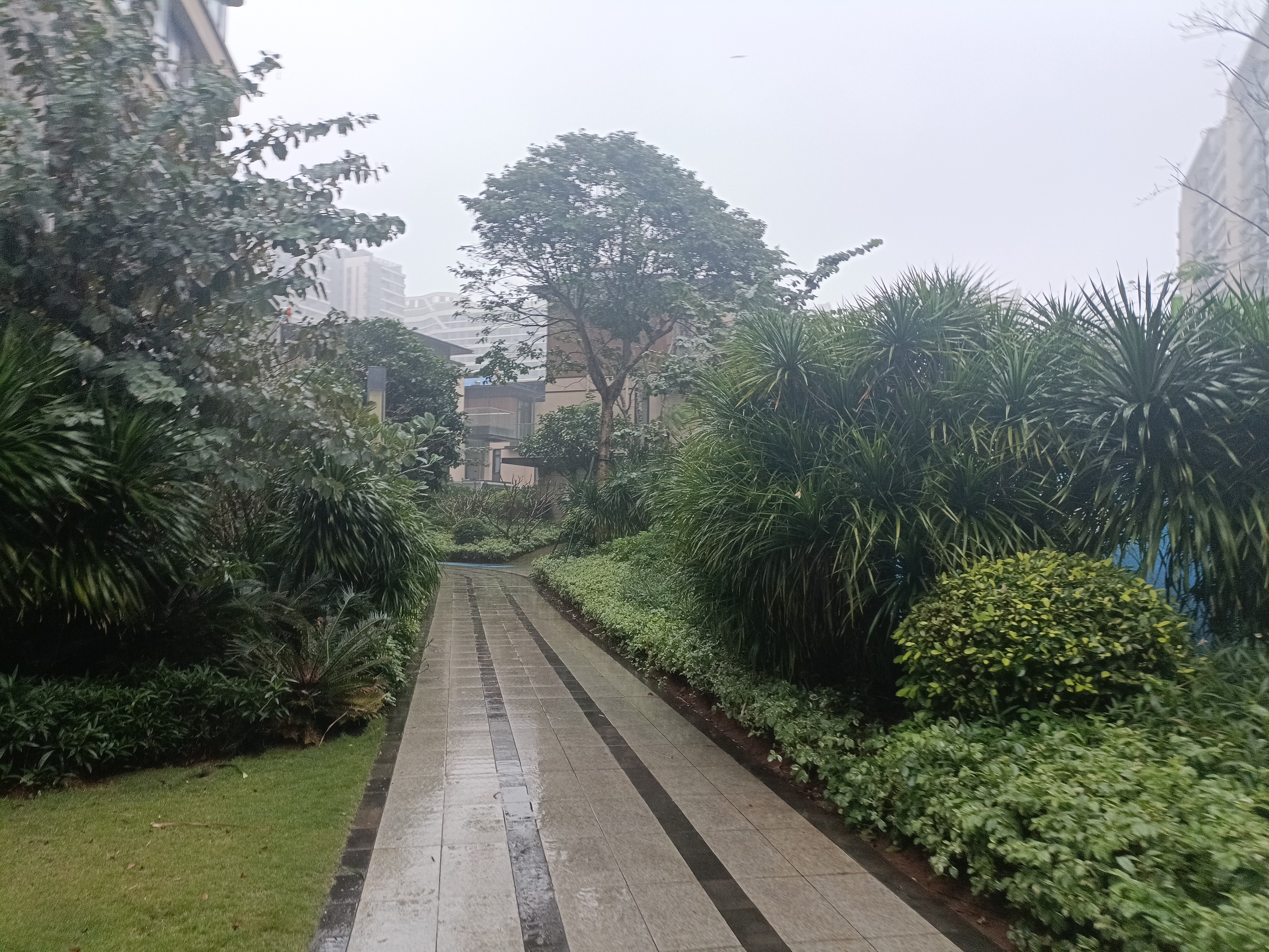 外景图