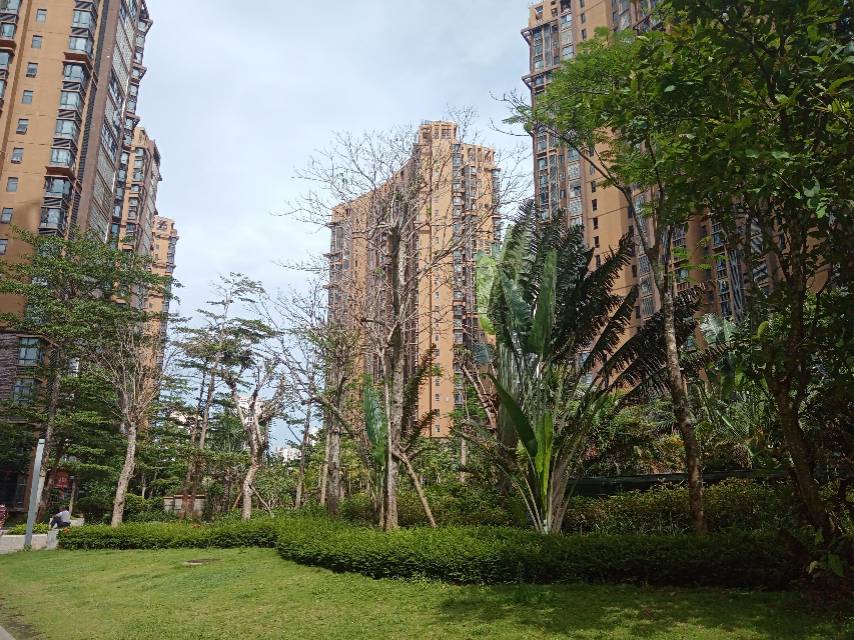 外景图