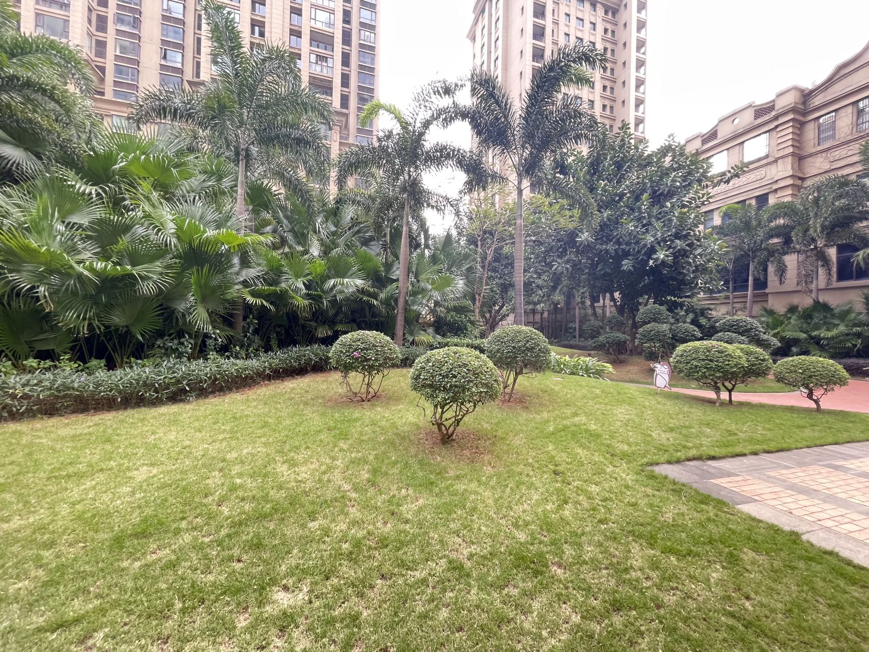 外景图