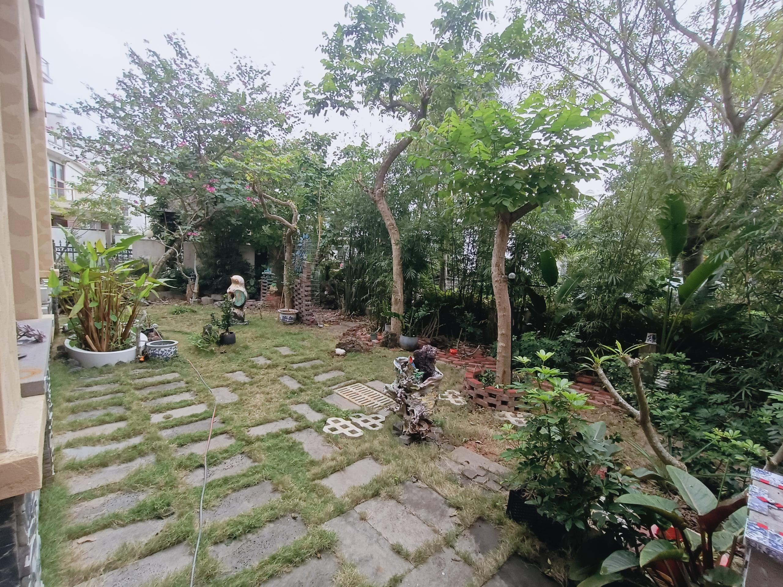 外景图