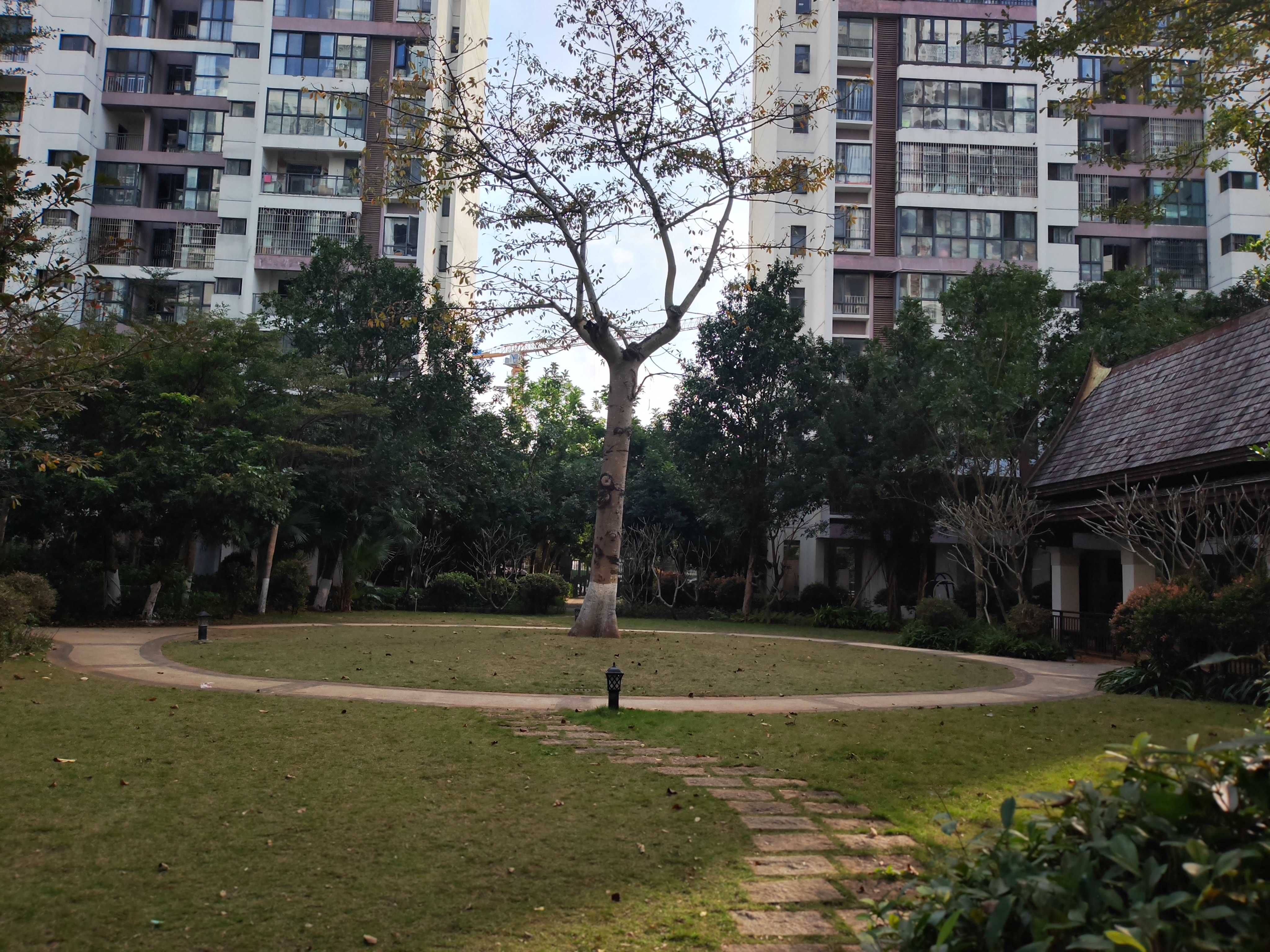 外景图