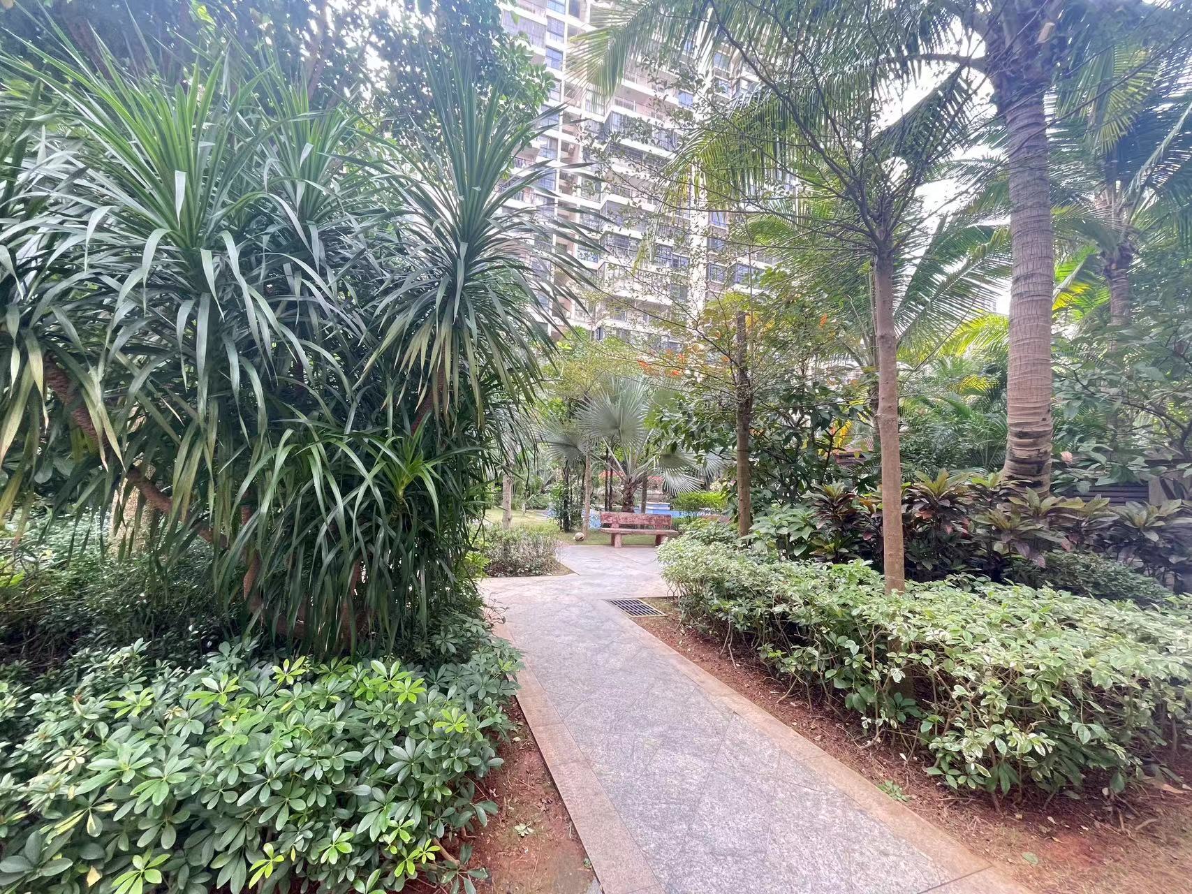 外景图