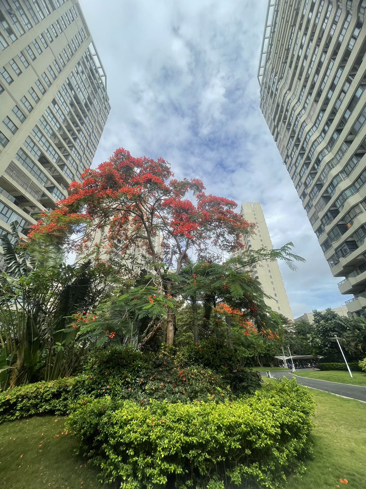 外景图