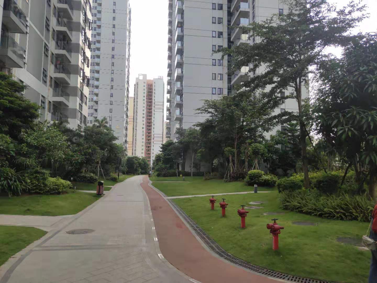外景图