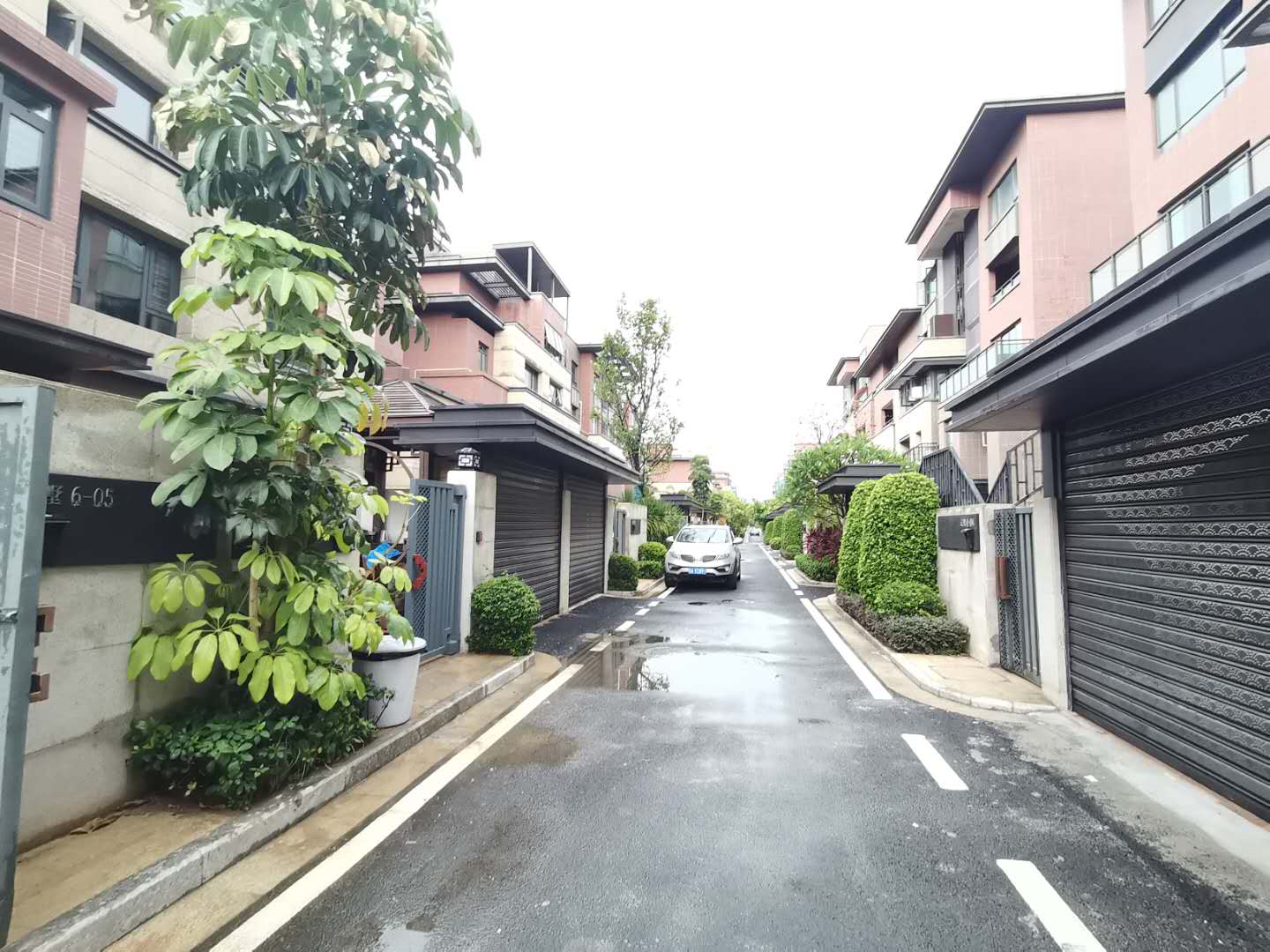 外景图