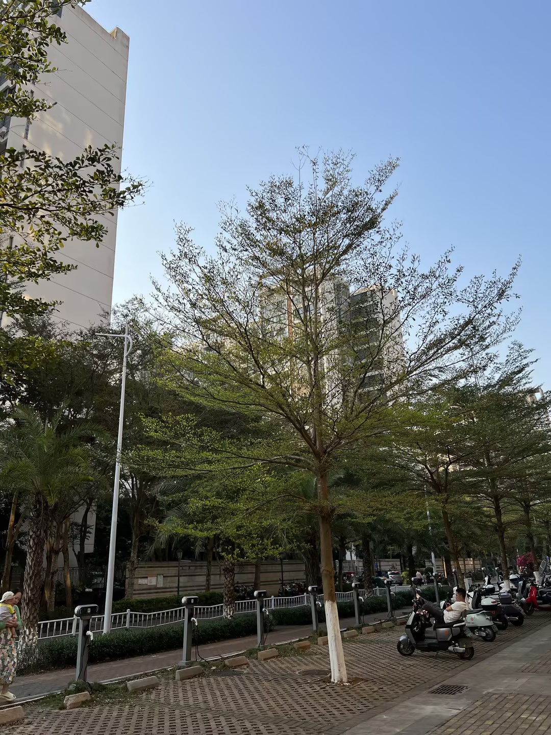 外景图