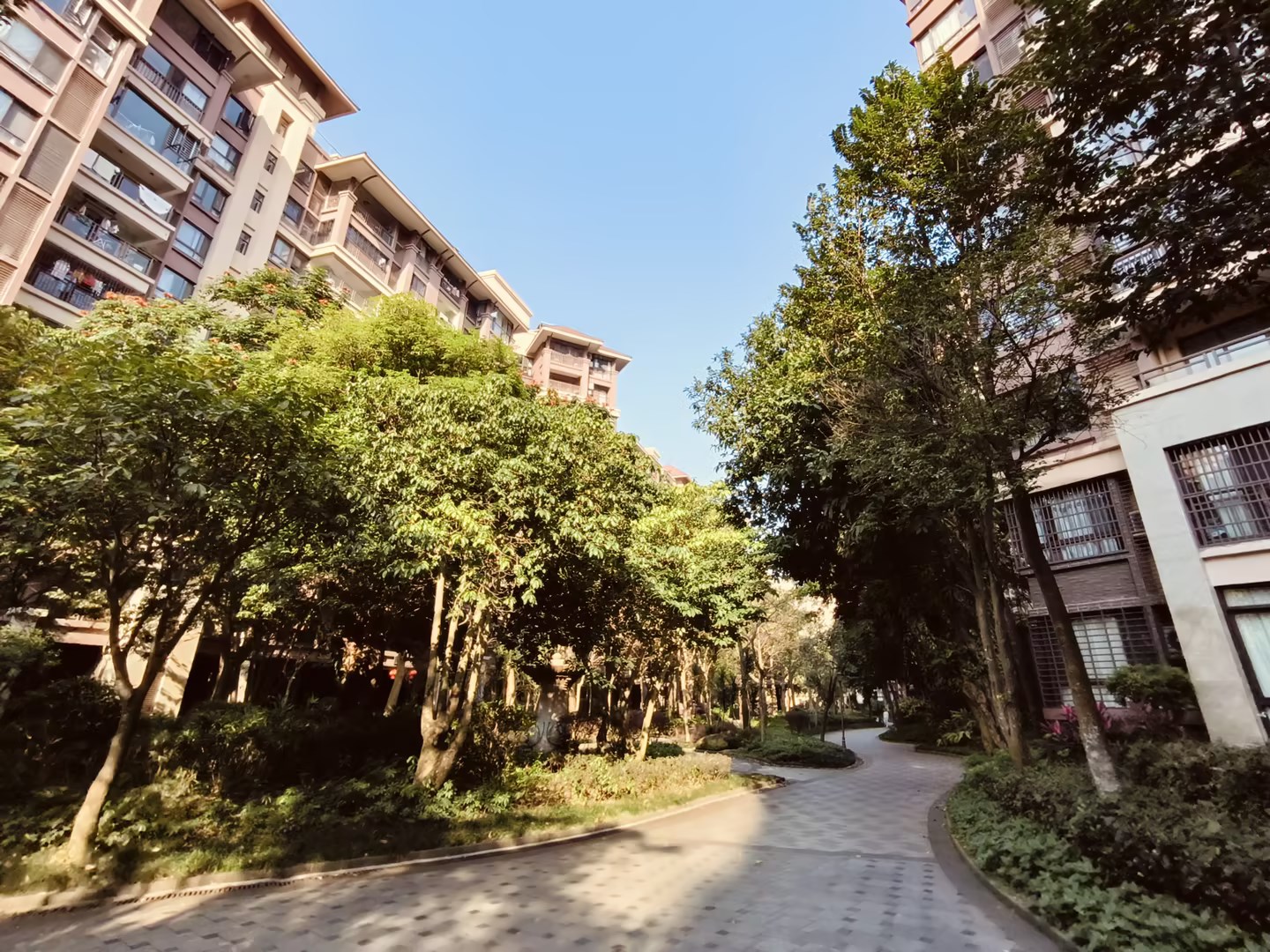 外景图