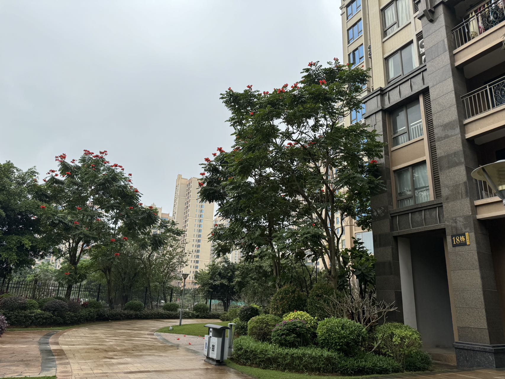 外景图