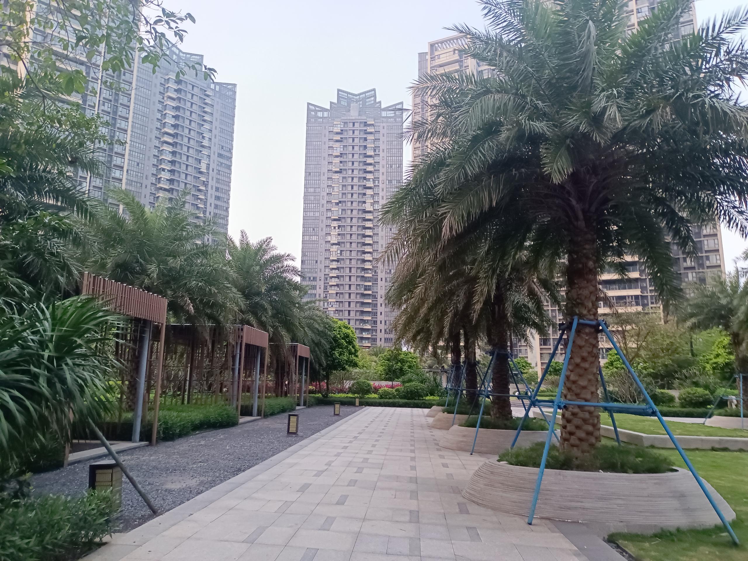 外景图