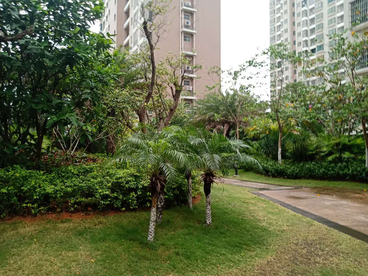 外景图