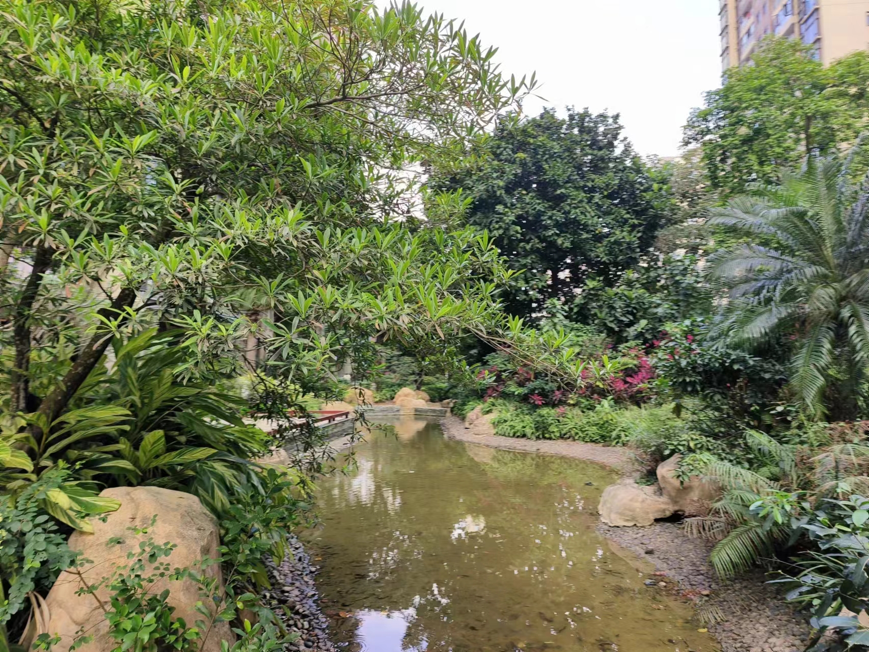 外景图