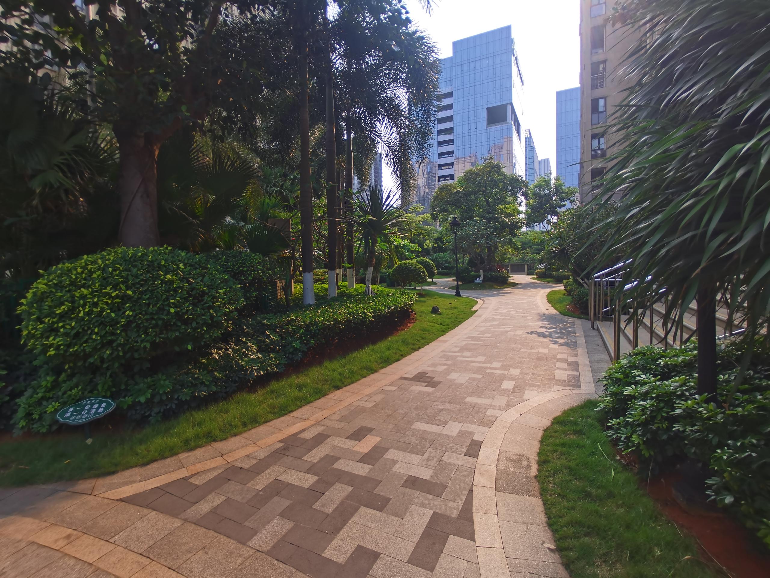 外景图