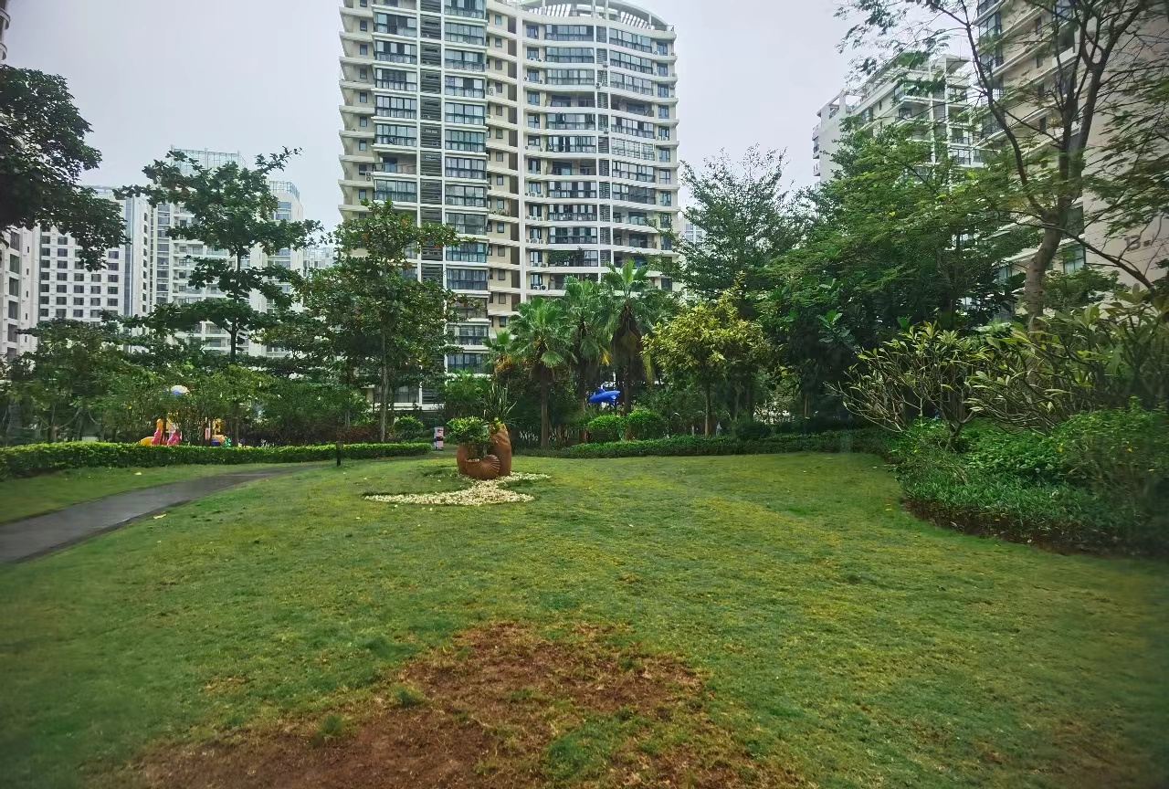 外景图