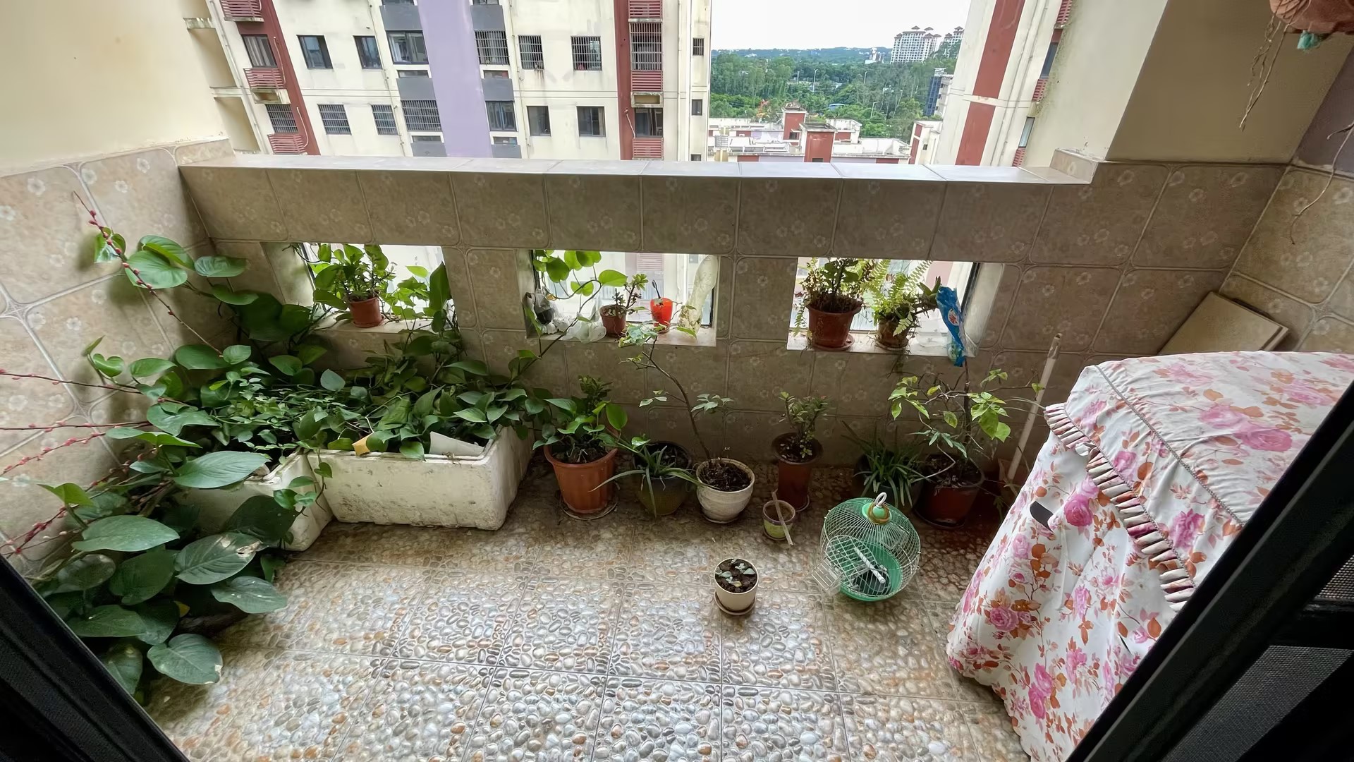 阳台