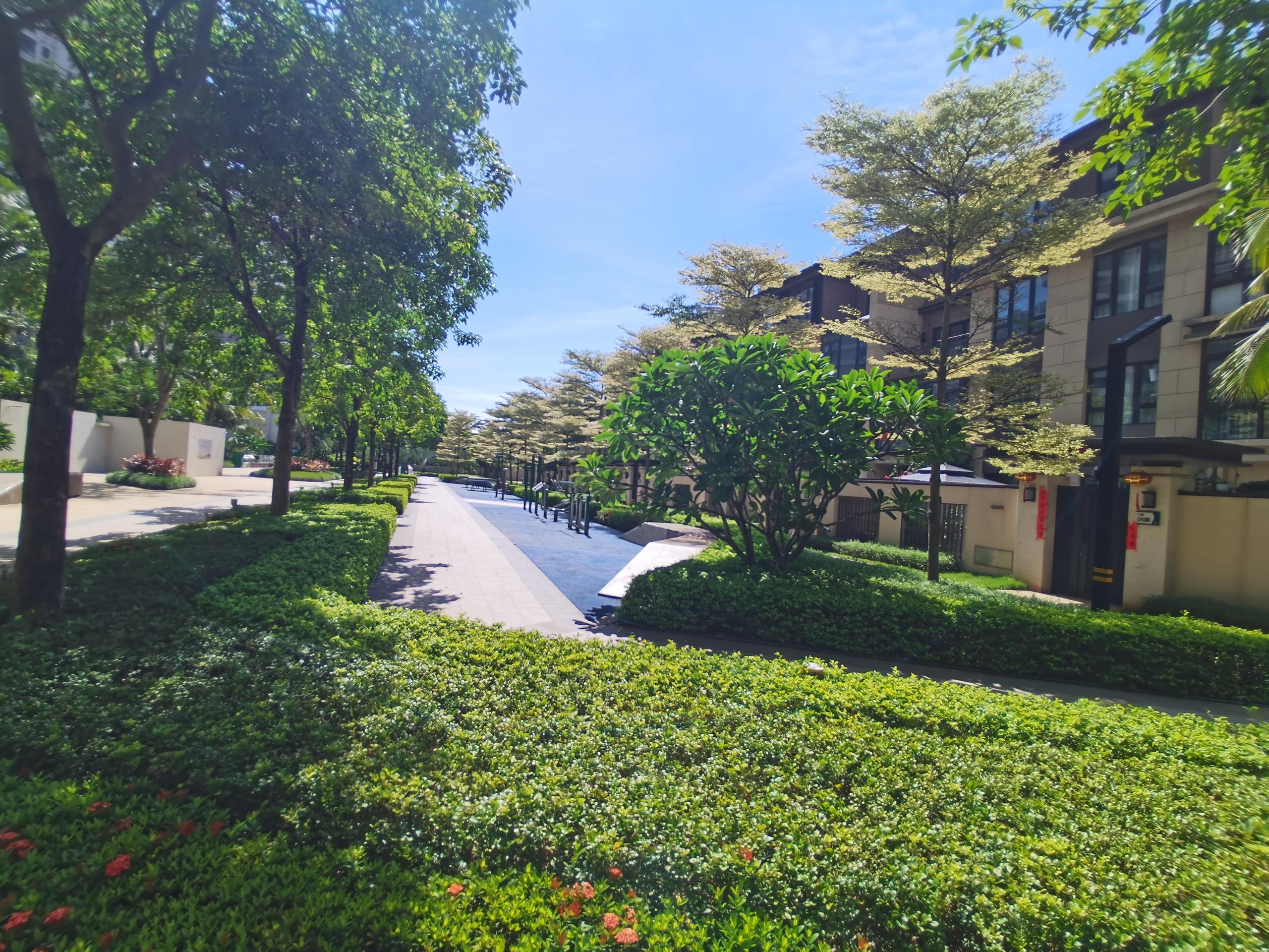 外景图