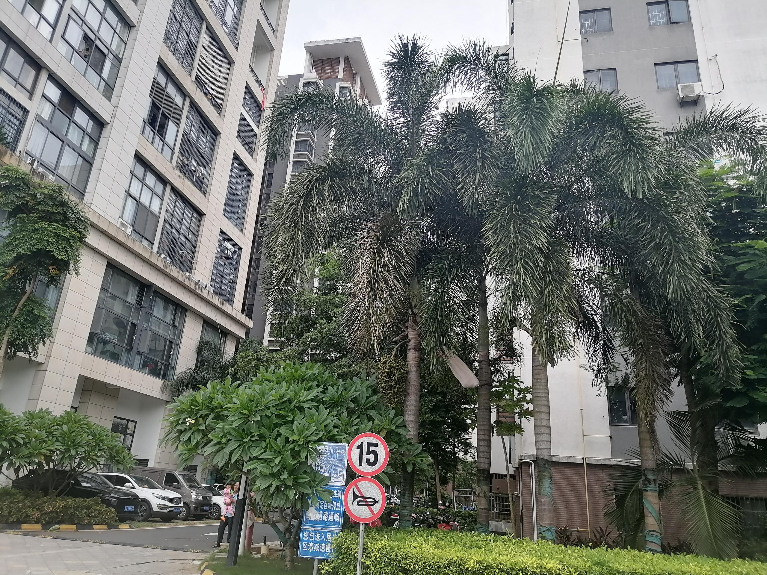 外景图