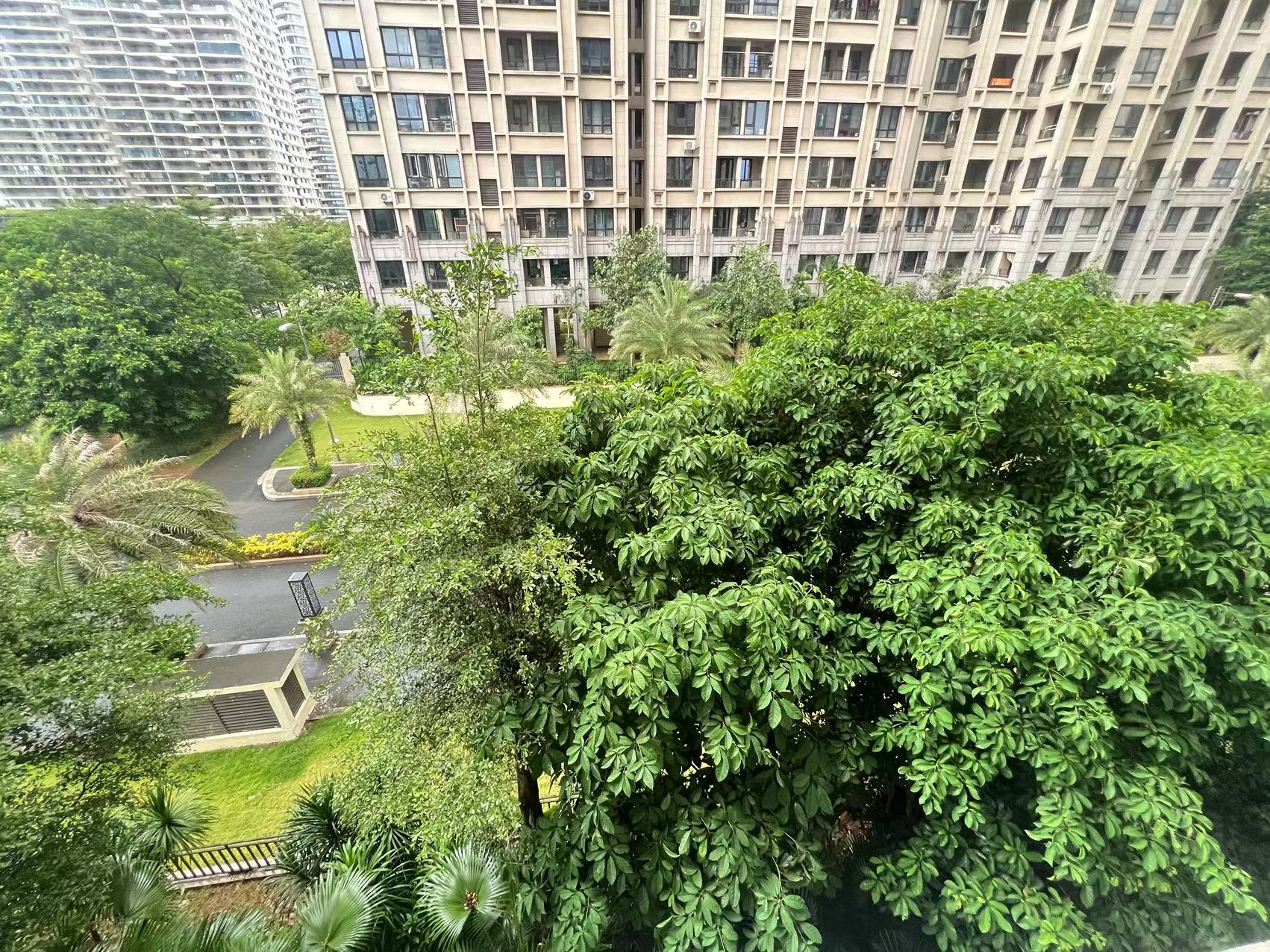 外景图