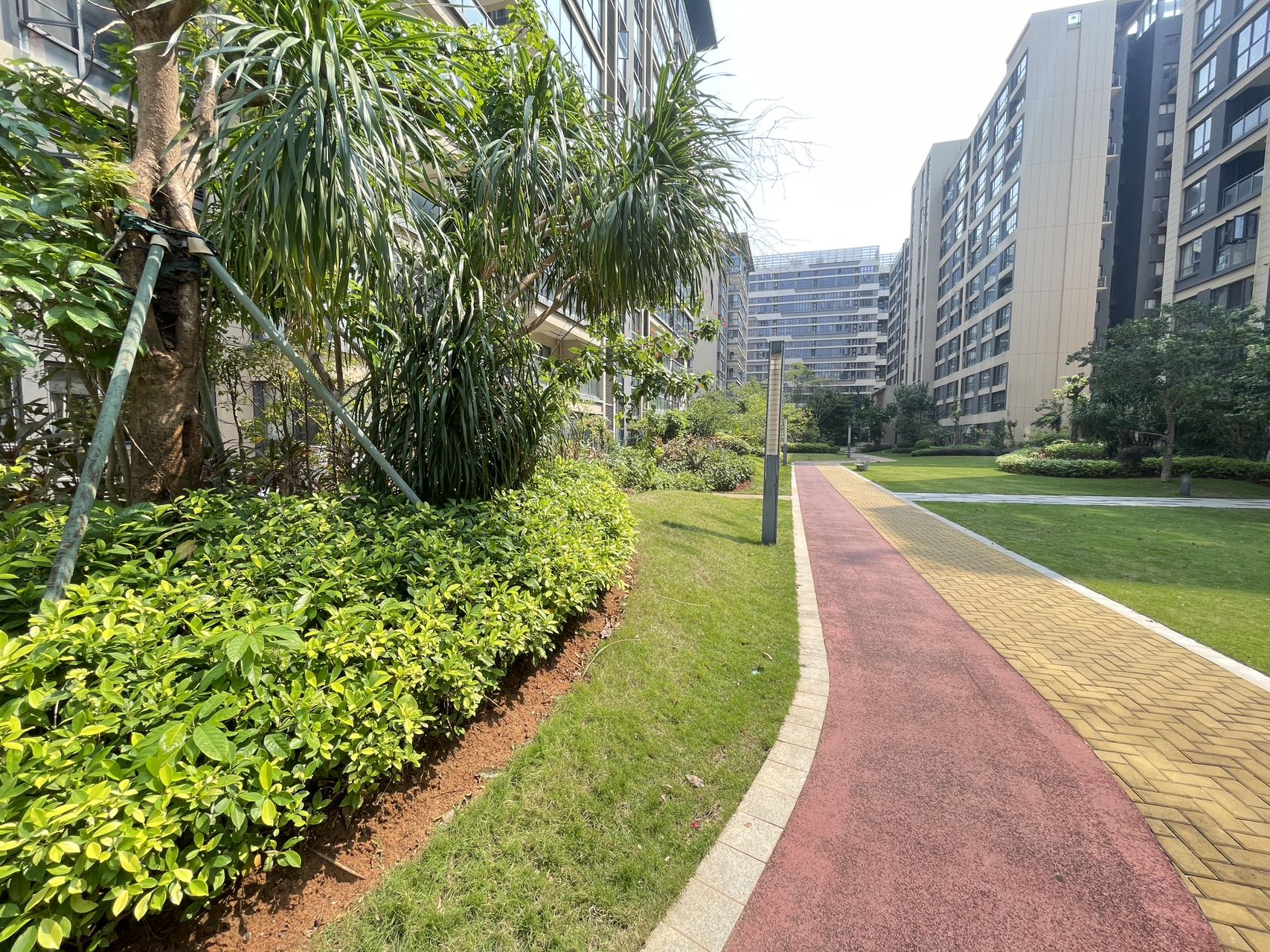 外景图