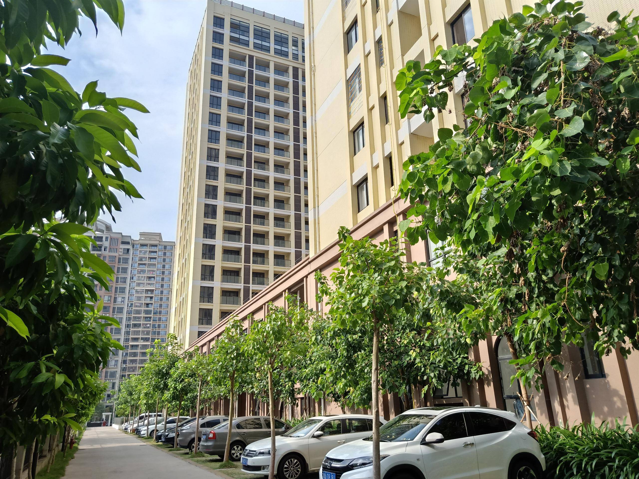外景图