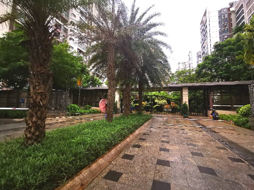 外景图