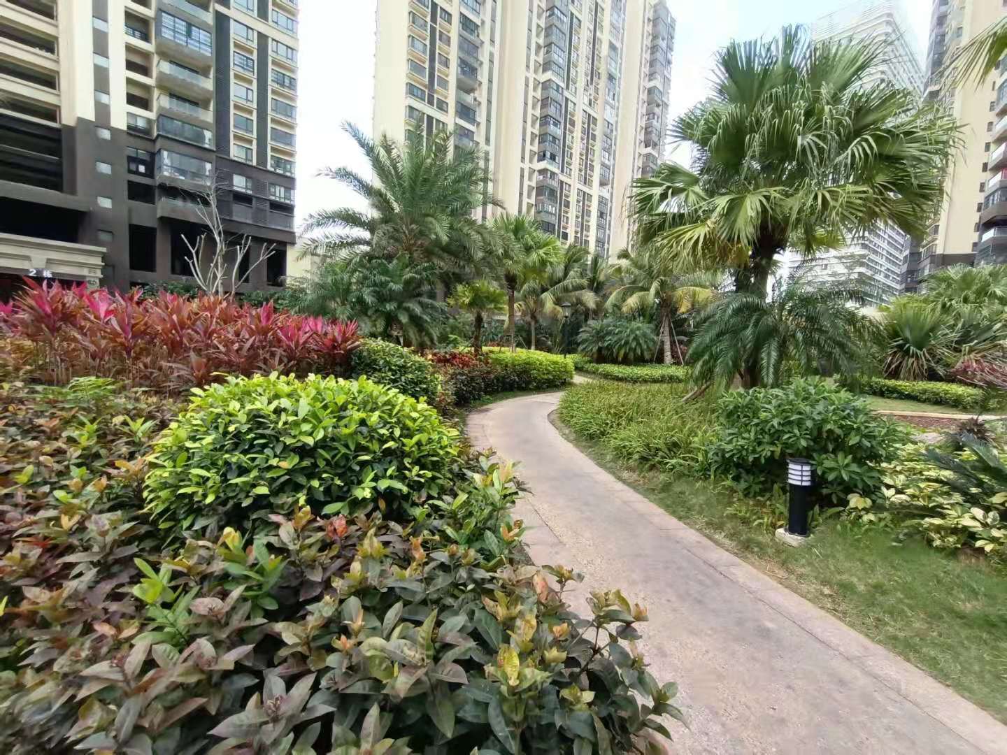 外景图