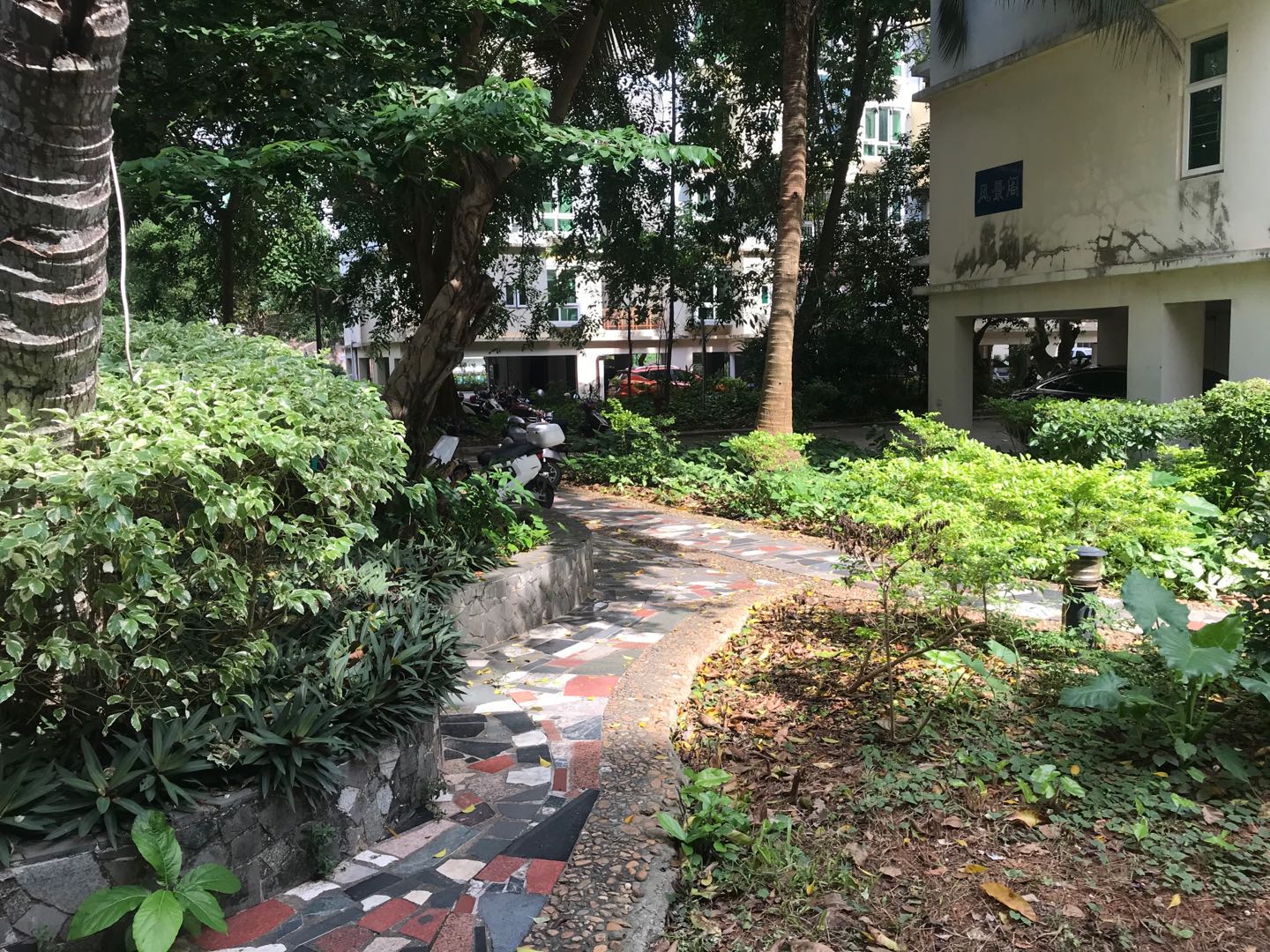 外景图