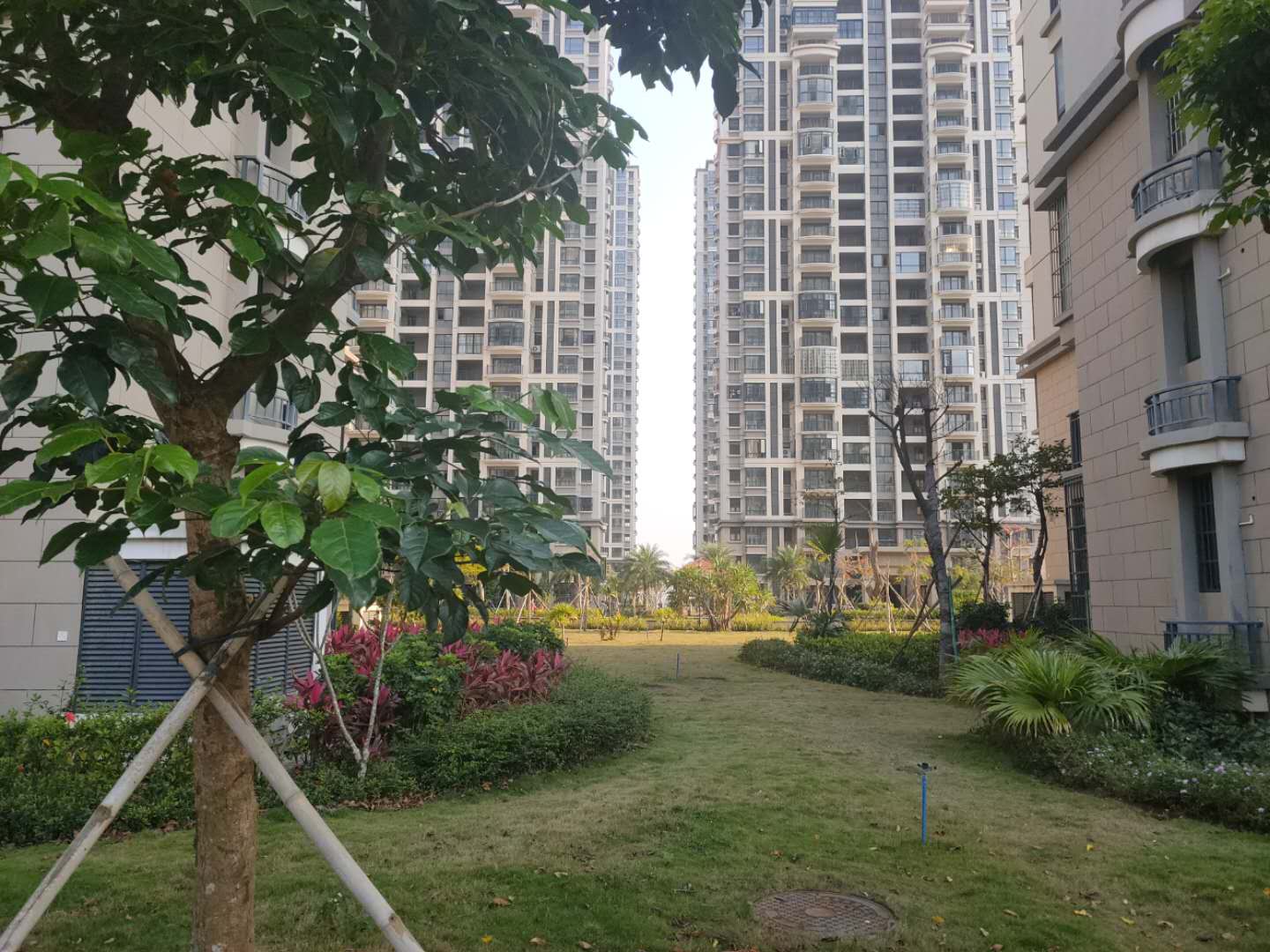 外景图