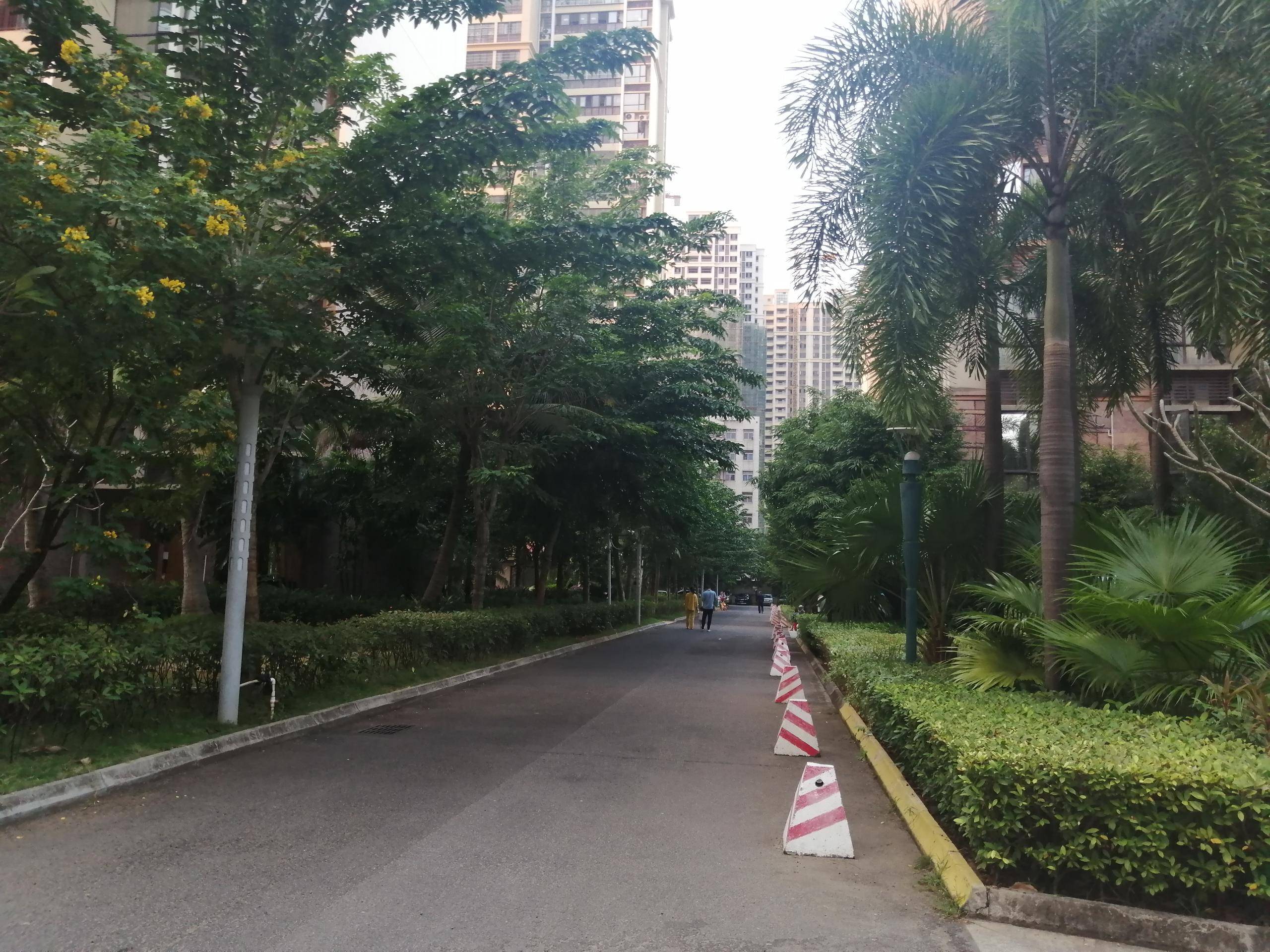 外景图