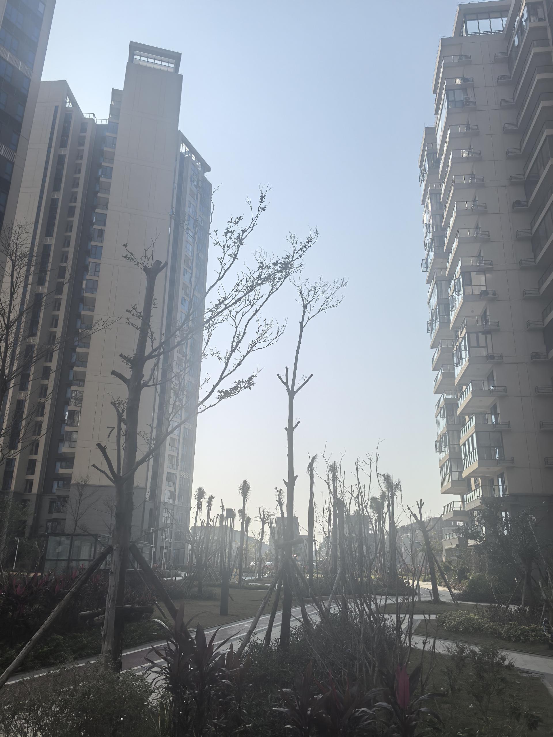 外景图