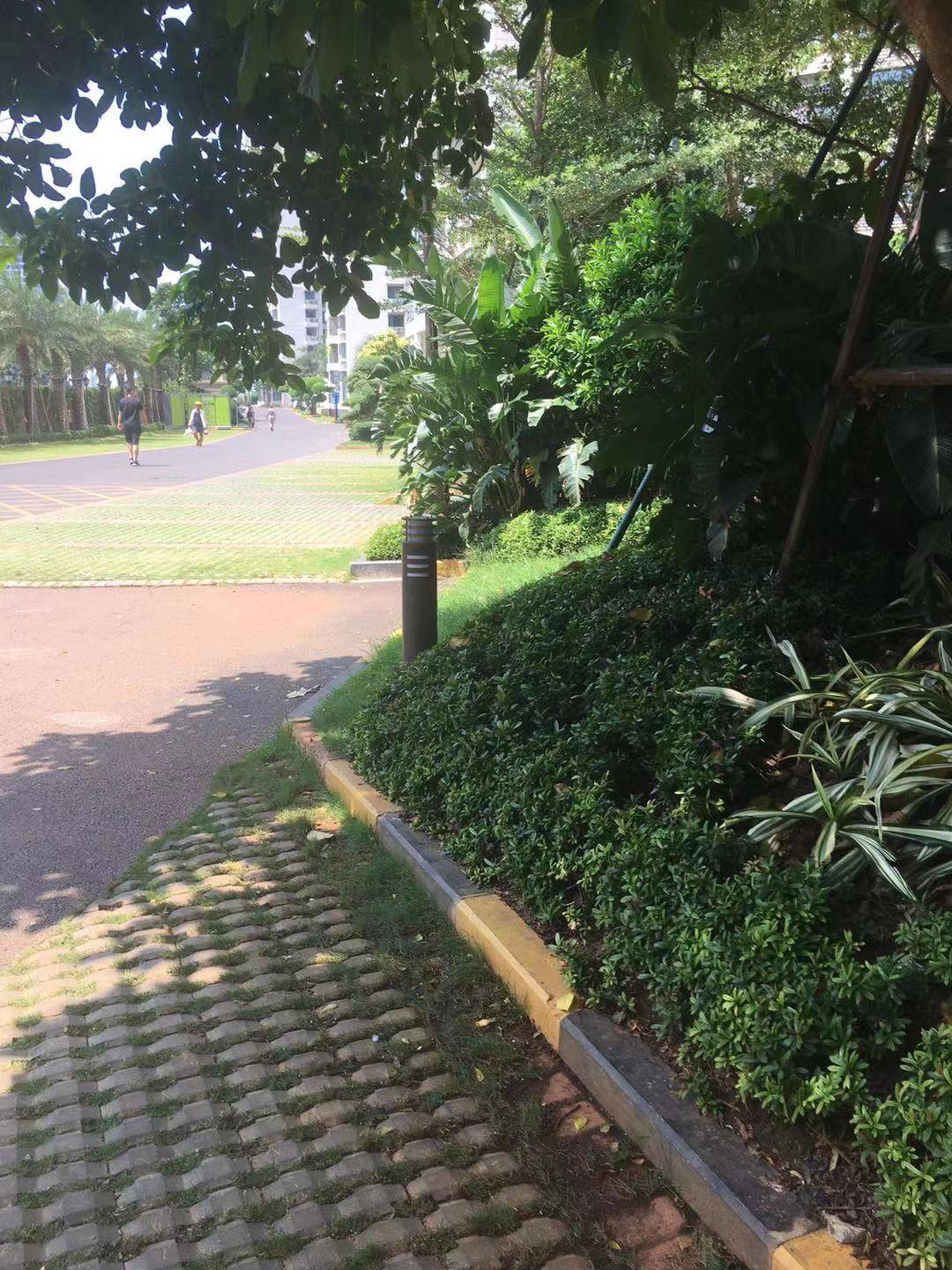 外景图