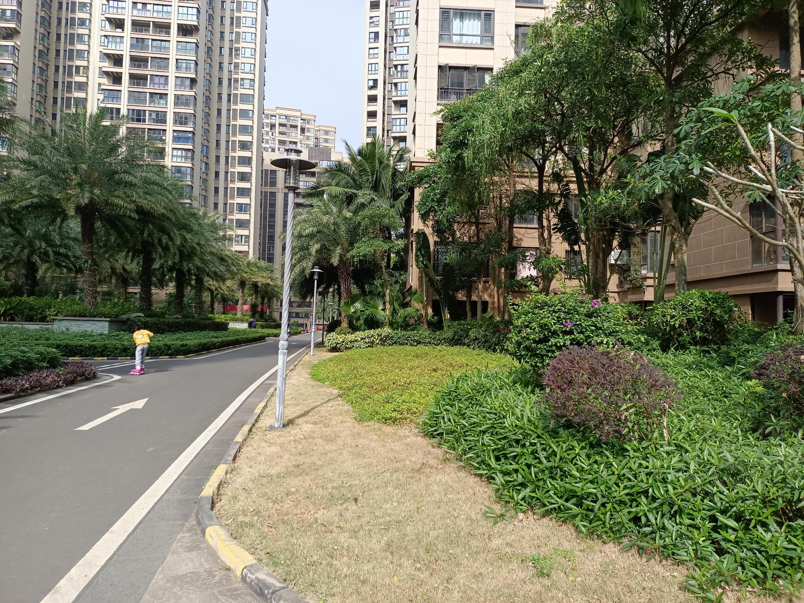 外景图