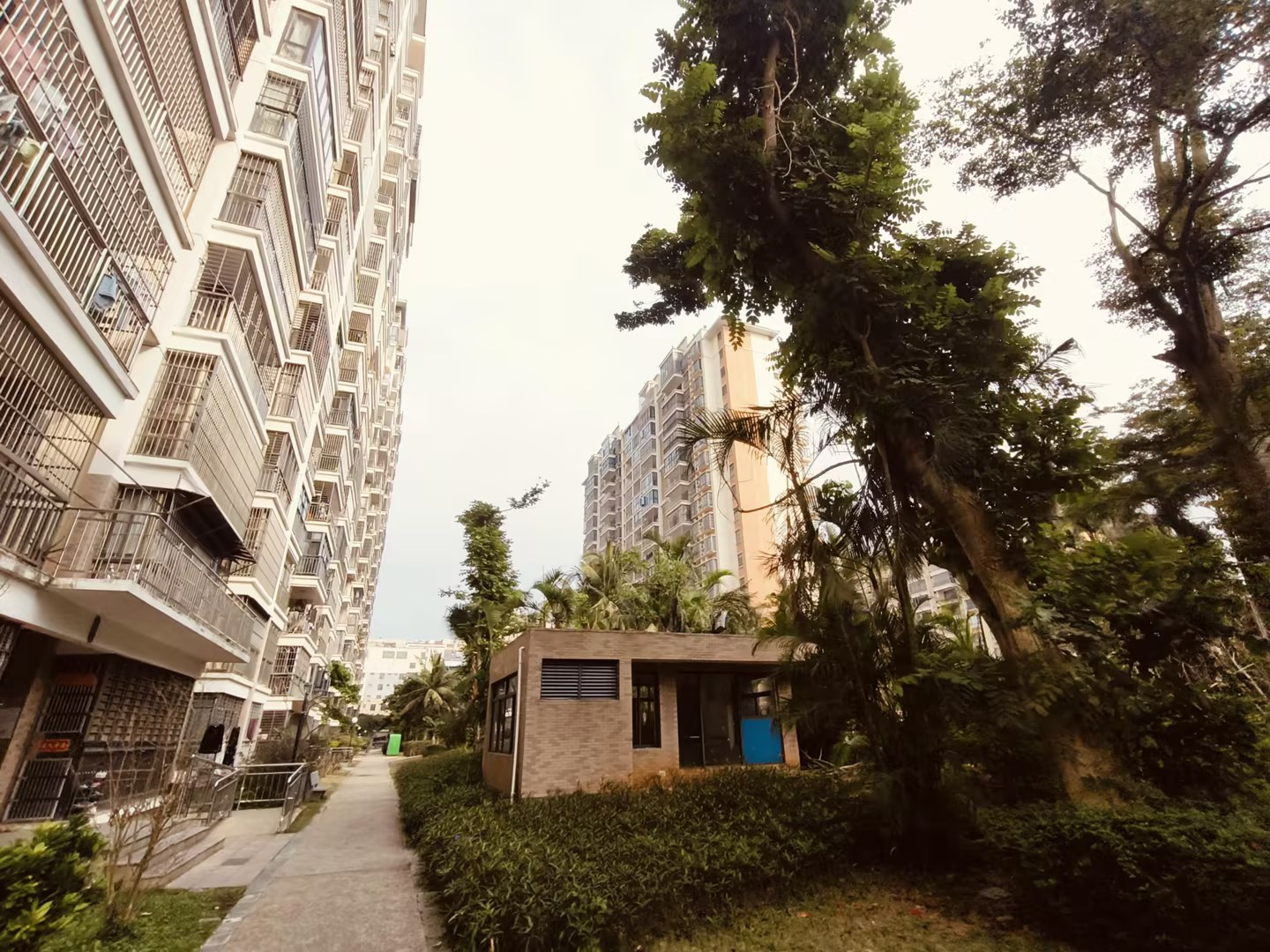 外景图