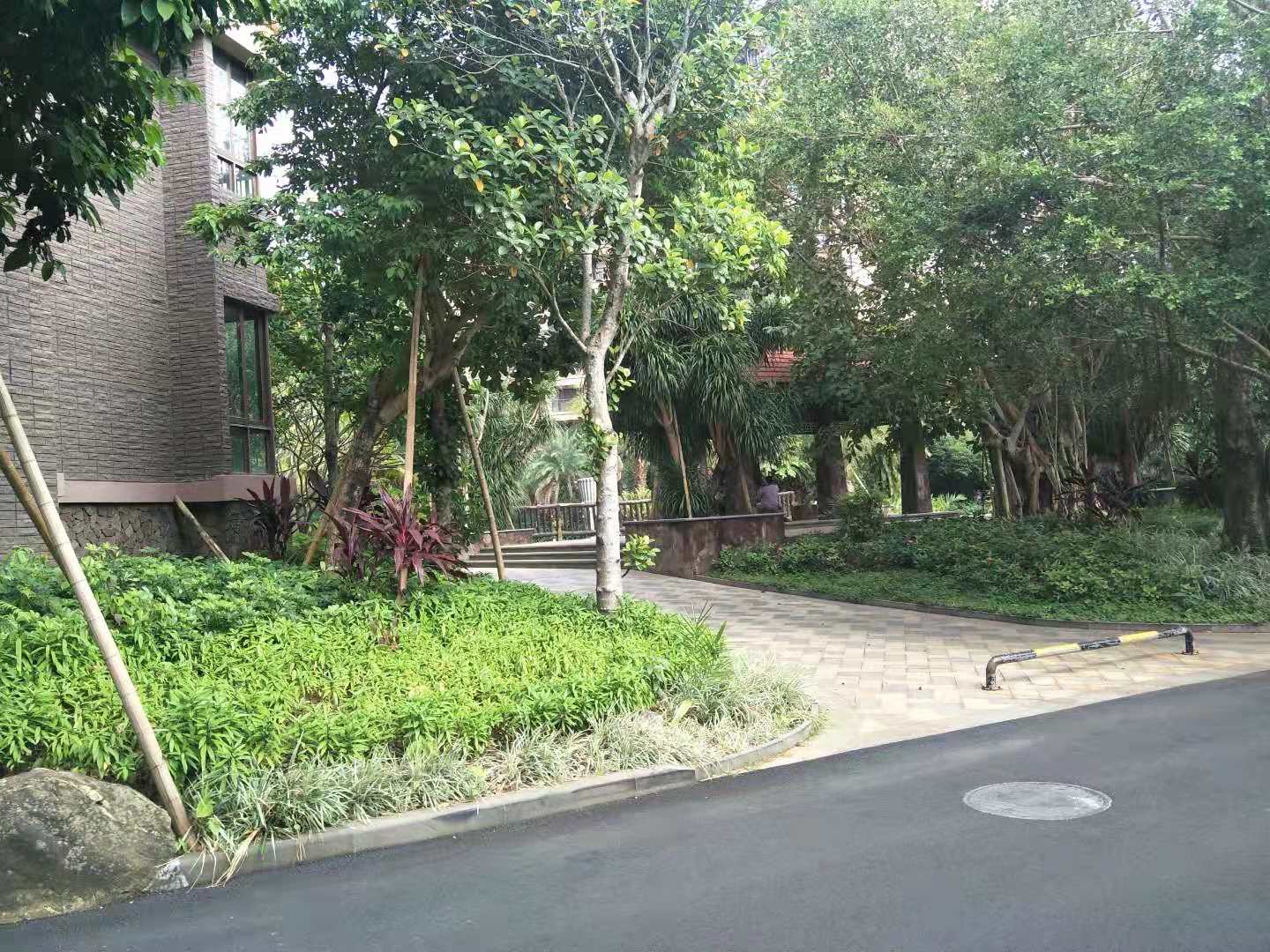 外景图