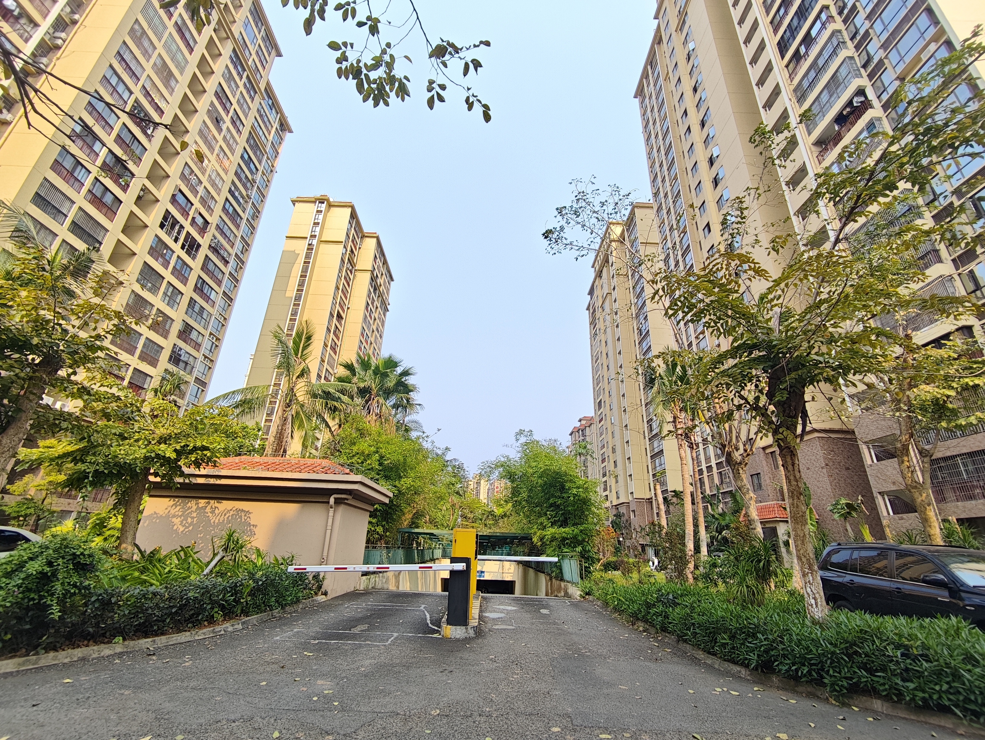 外景图