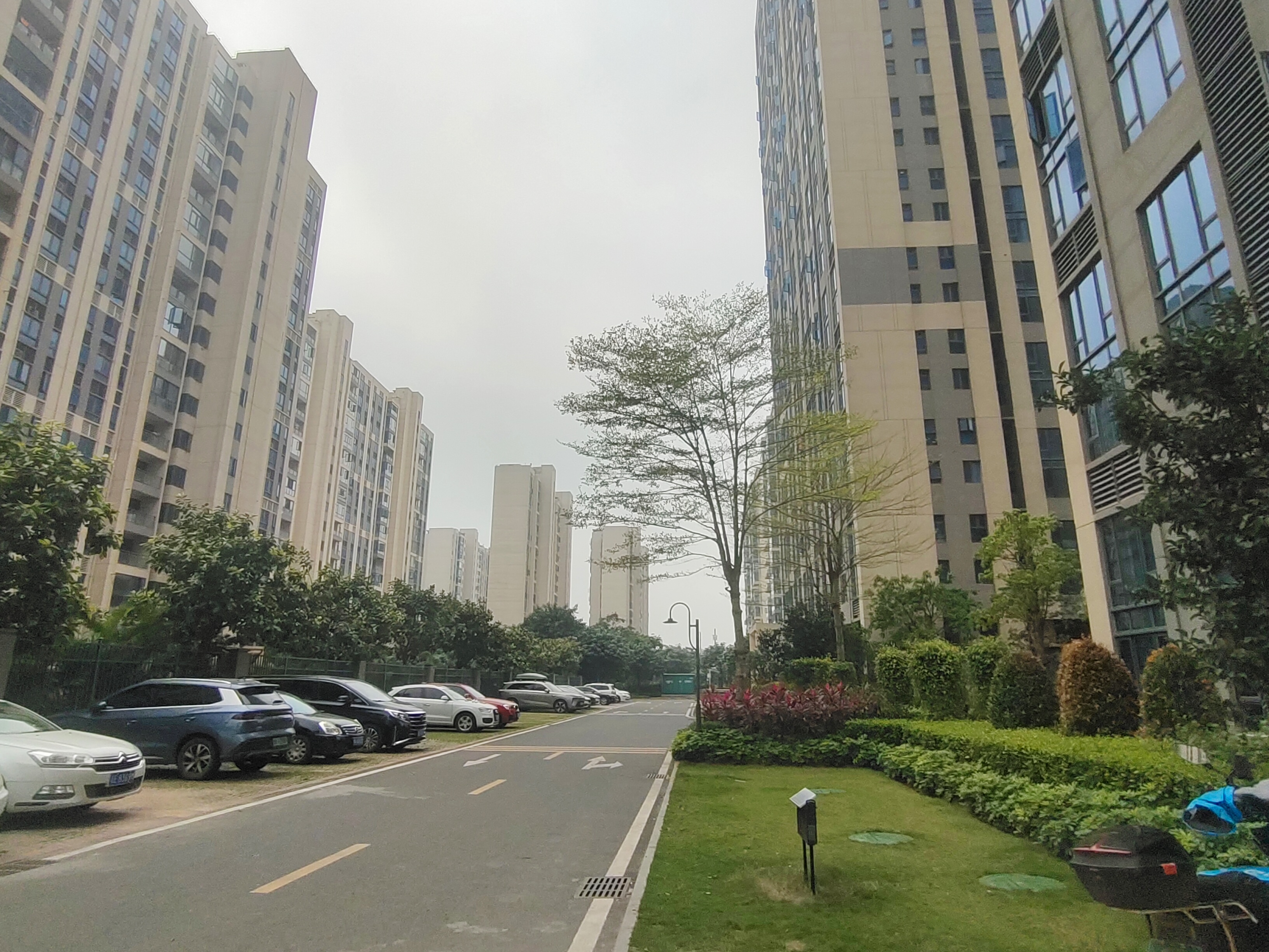 外景图