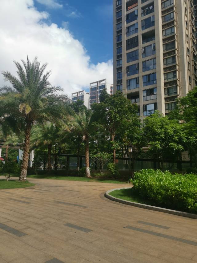 外景图