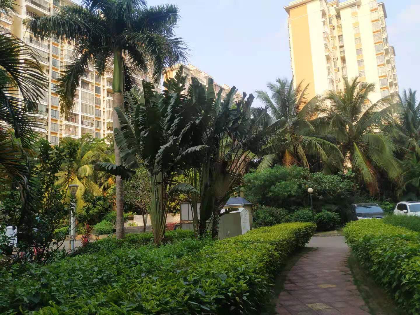 外景图